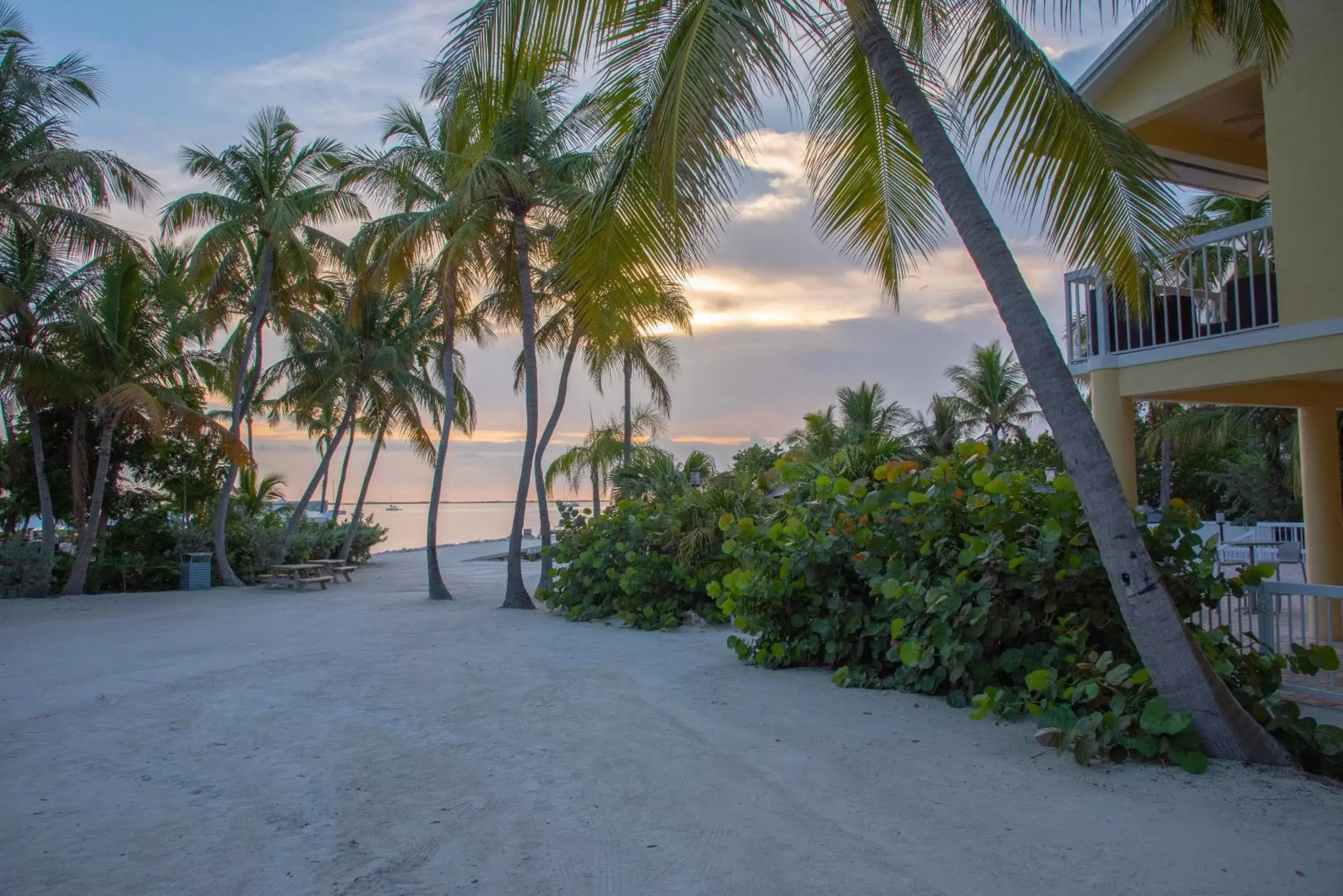 Property building in Bayside Inn Key Largo