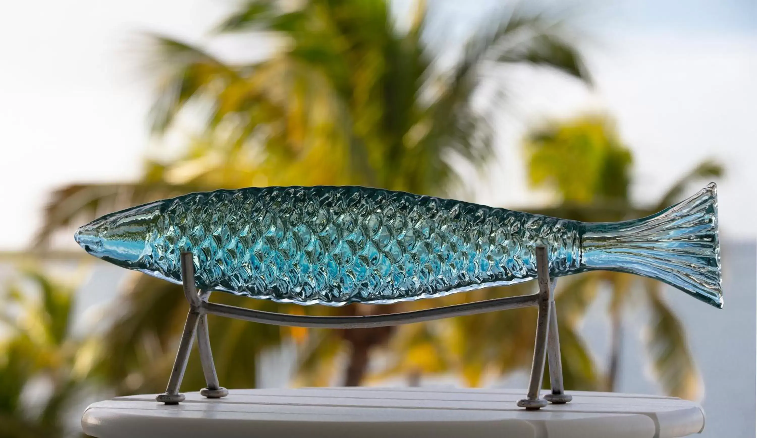 Area and facilities in The Laureate Key West Area and facilities in The Laureate Key West