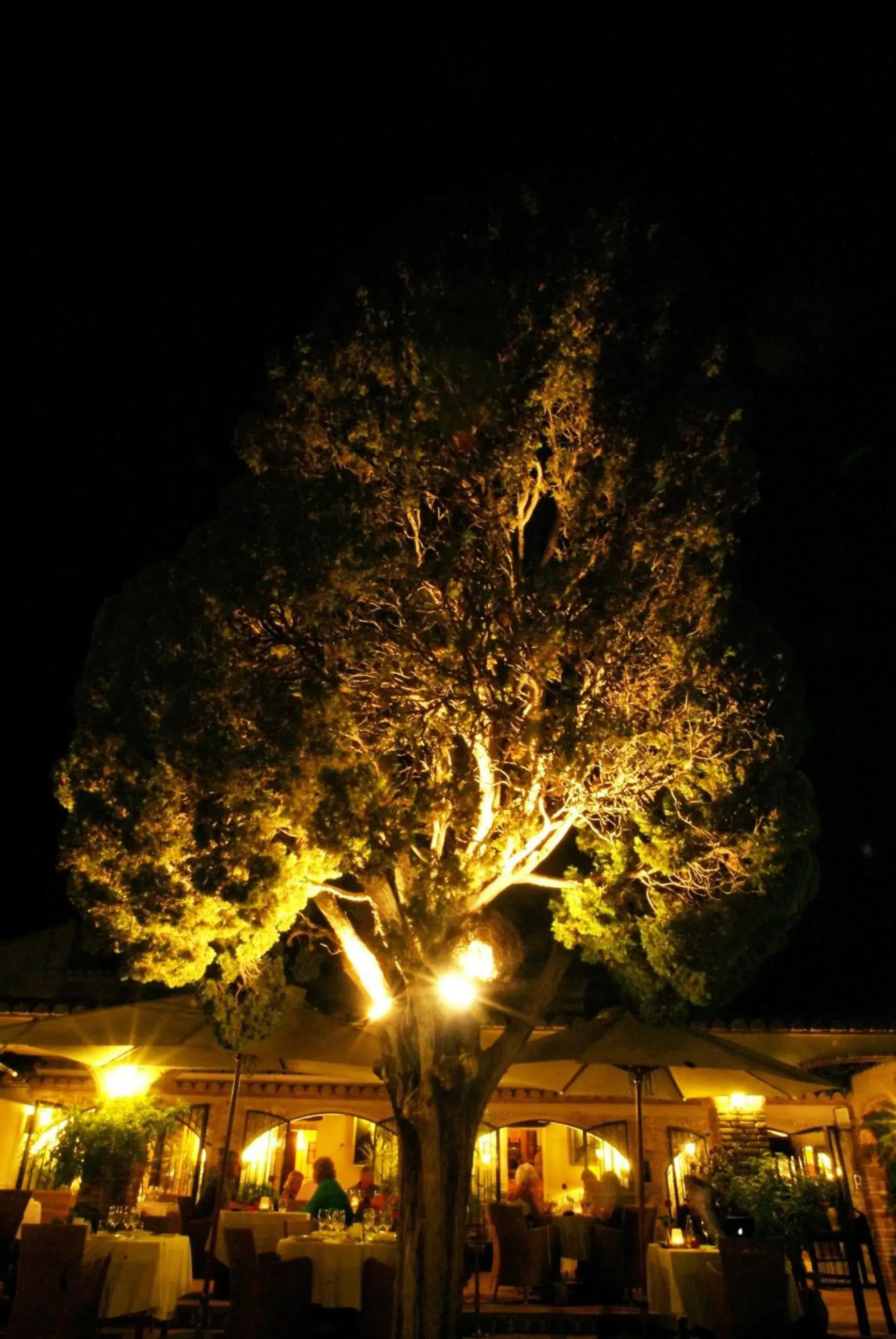 Other, Garden in Casa Del Maco