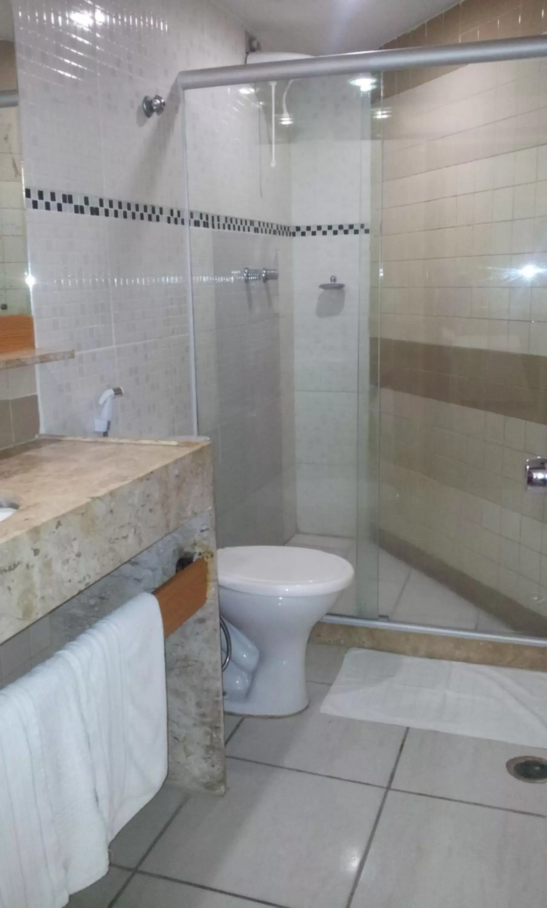 Bathroom in Rede Andrade Plaza Recife