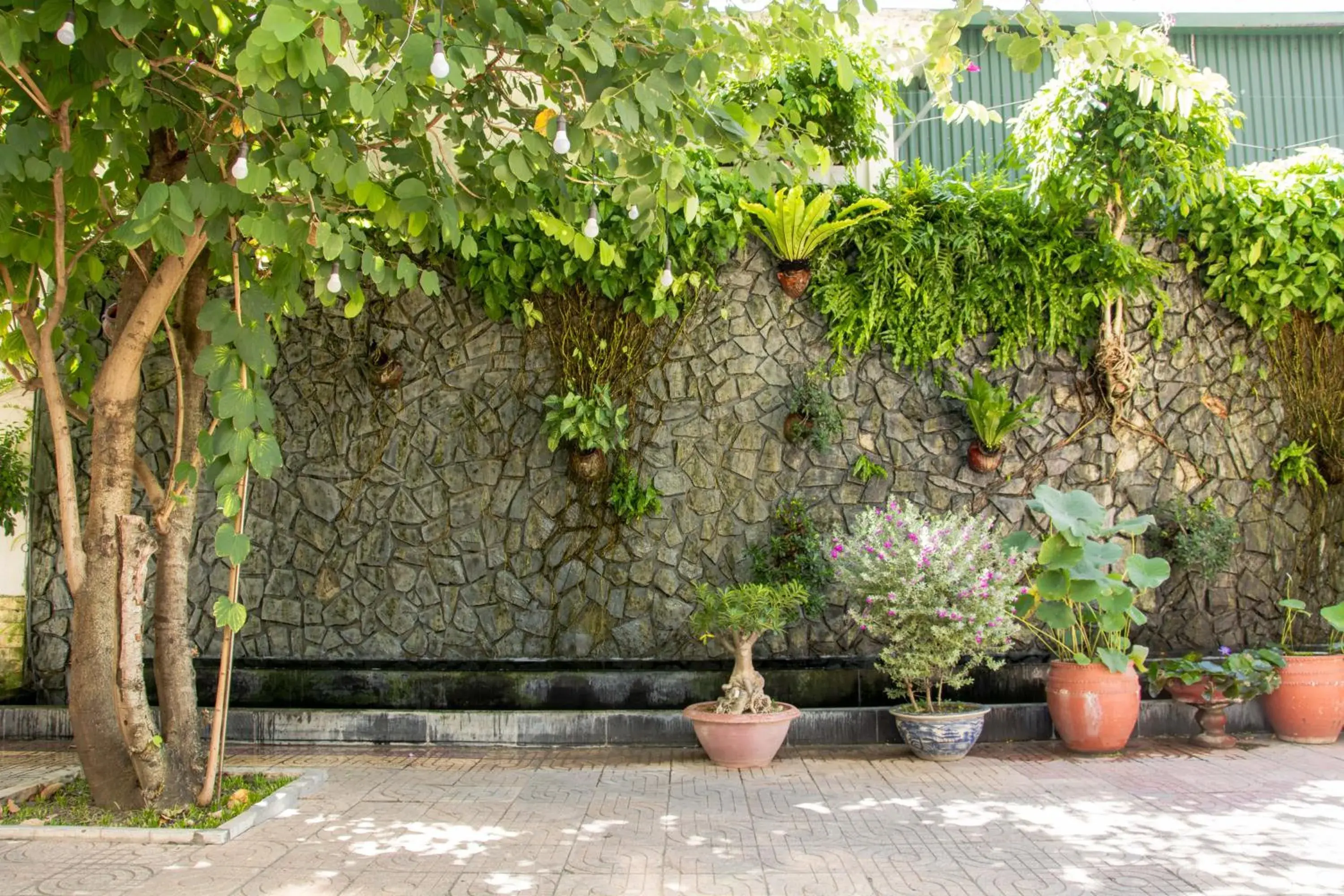 Garden in Angella Hotel Nha Trang