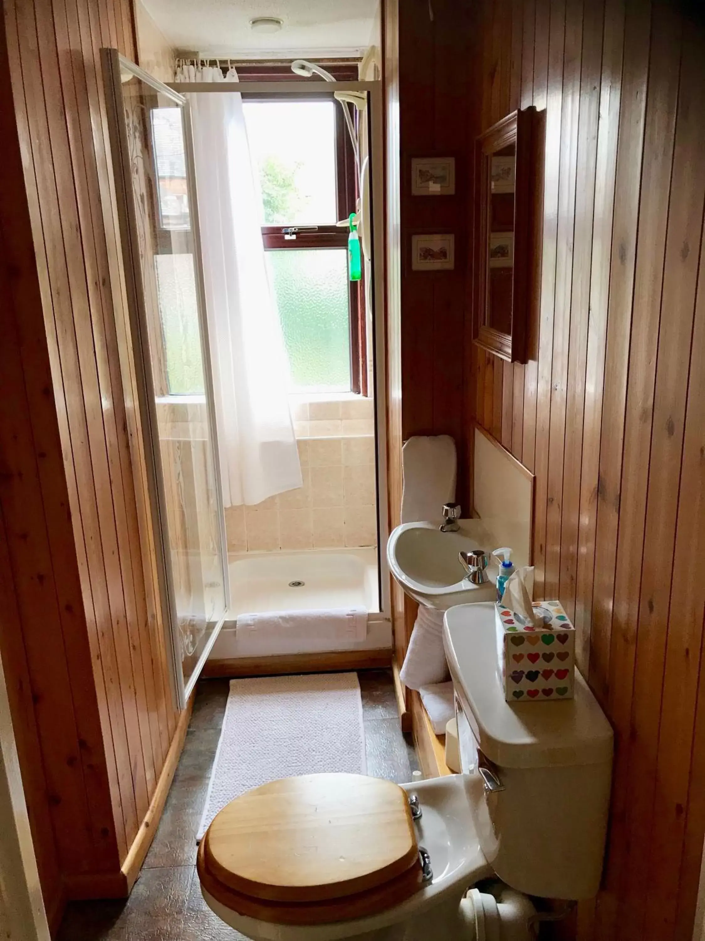 Toilet, Bathroom in Ferintosh Guest House