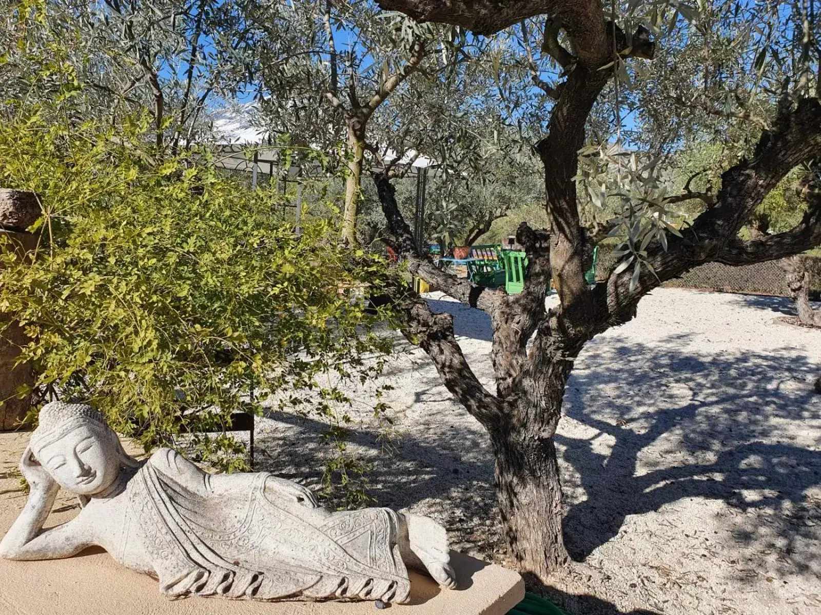 Garden in Finca La Higuera - Boutique B&B