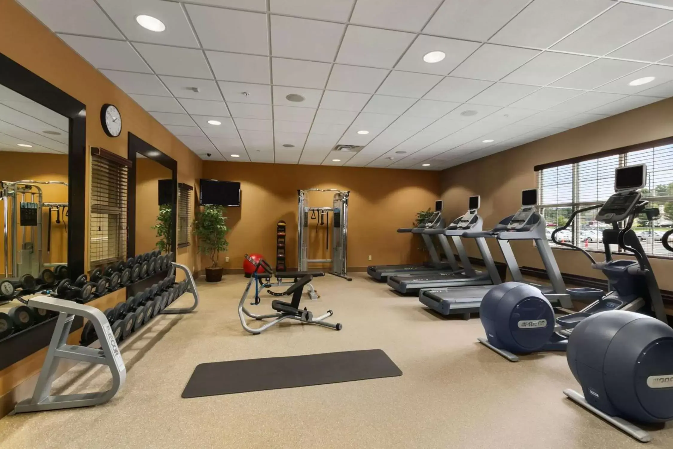 Fitness centre/facilities, Fitness Center/Facilities in Homewood Suites by Hilton Binghamton/Vestal