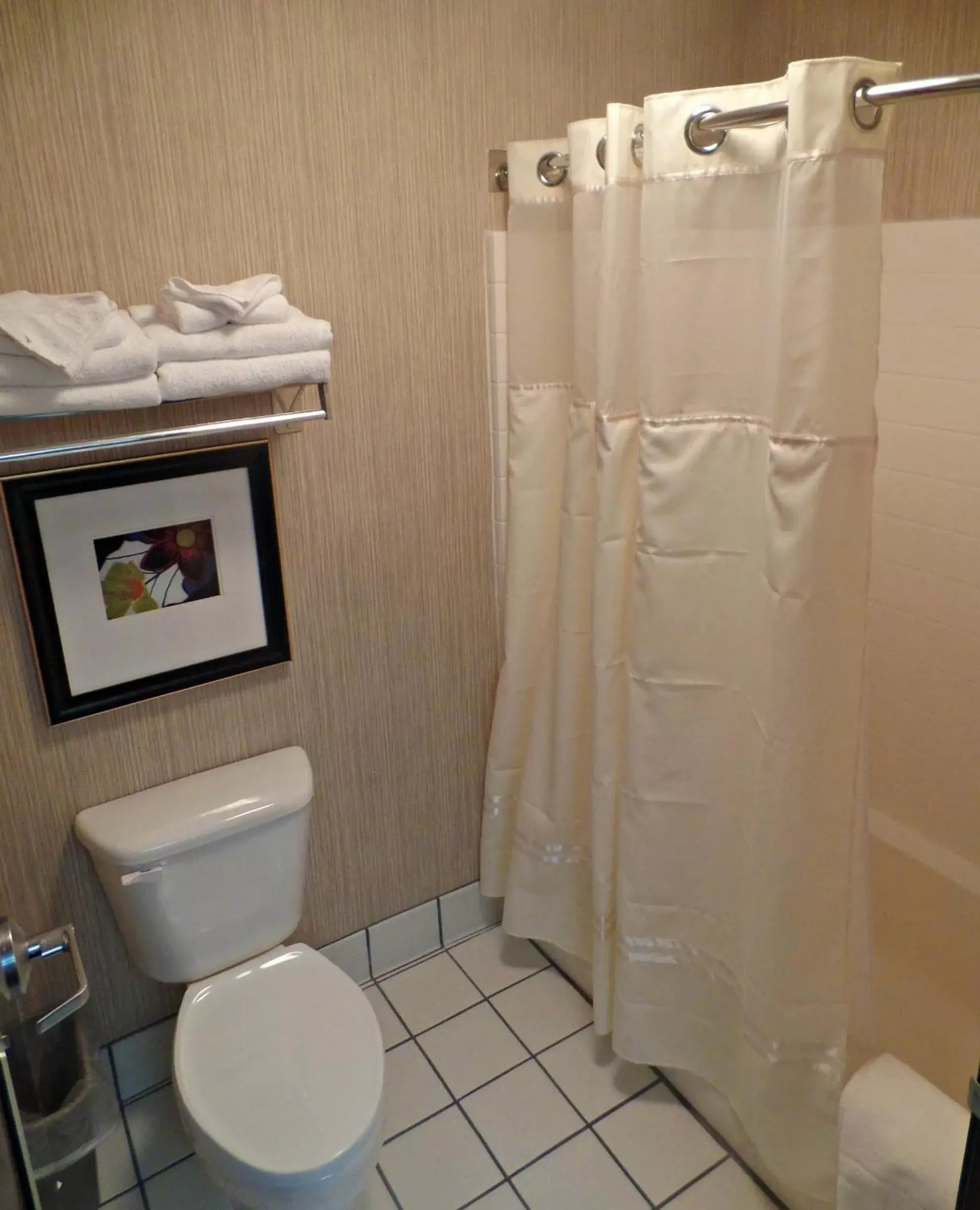 Bathroom in Phoenix Inn Suites Albany