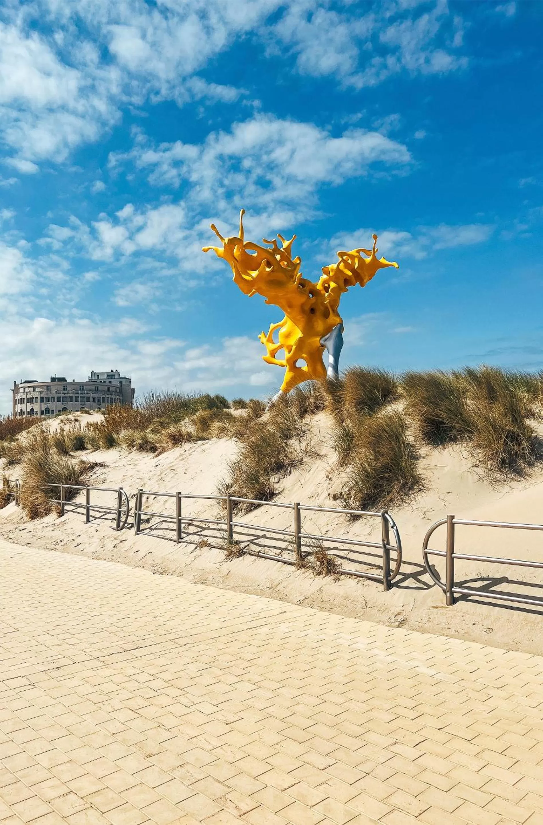 Activities in Holiday Suites Westende - Middelkerke