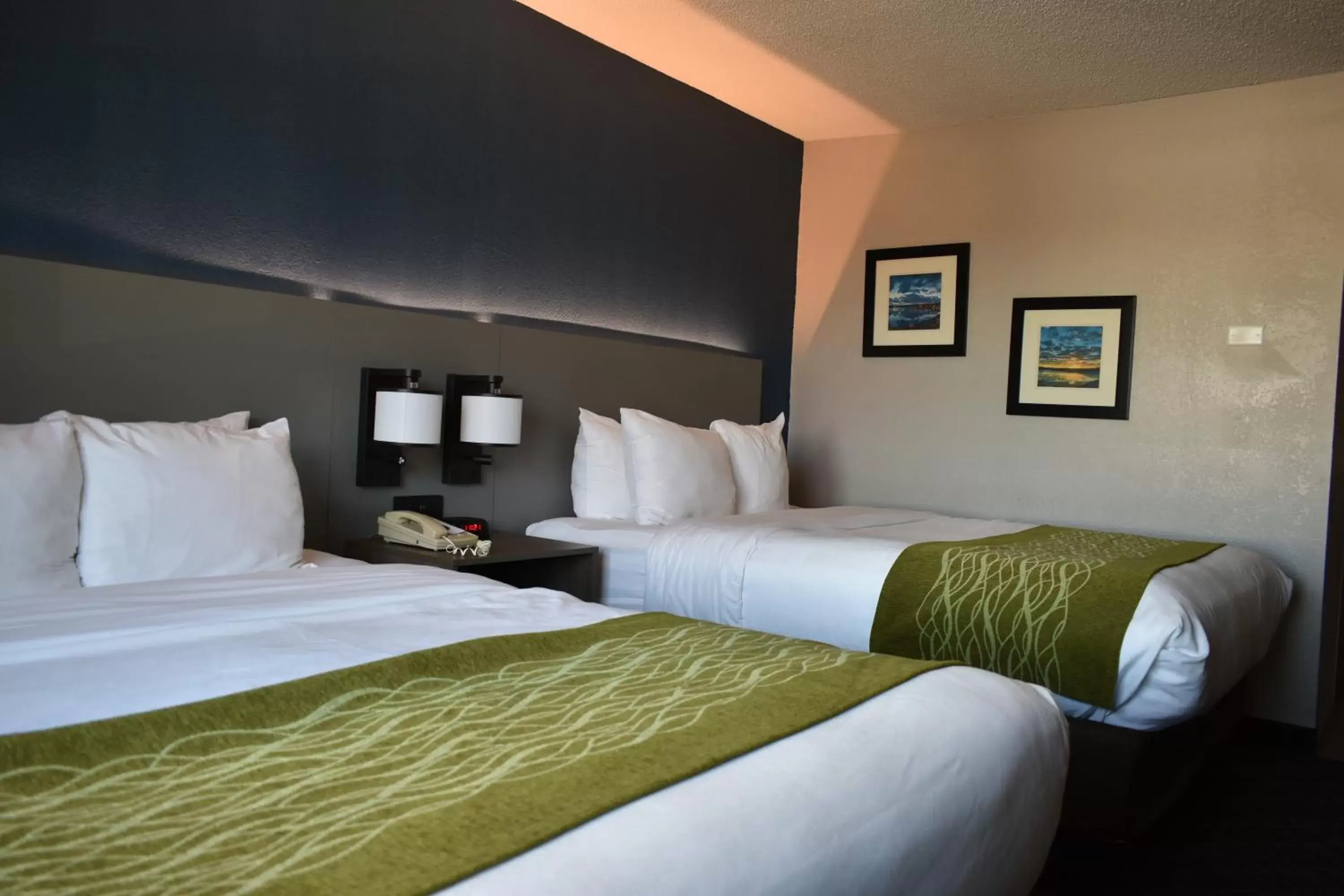 Photo of the whole room, Bed in Comfort Inn & Suites Cartersville - Emerson Lake Point