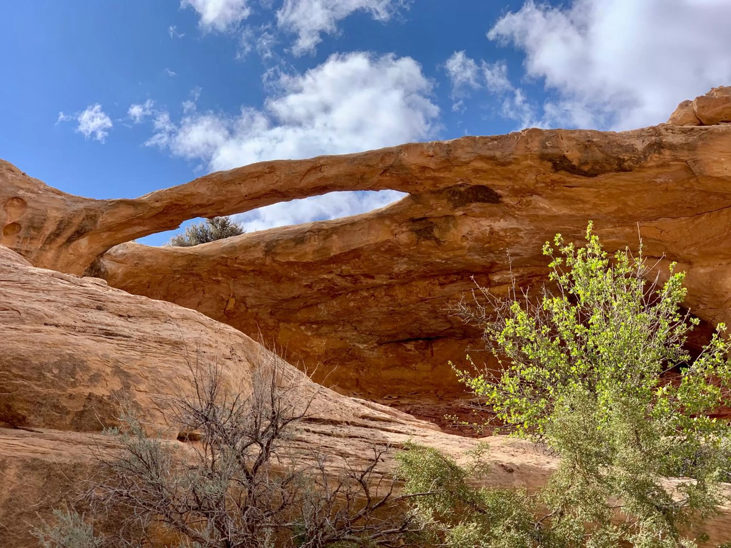 Natural Landscape in Cedar Canyon Condos