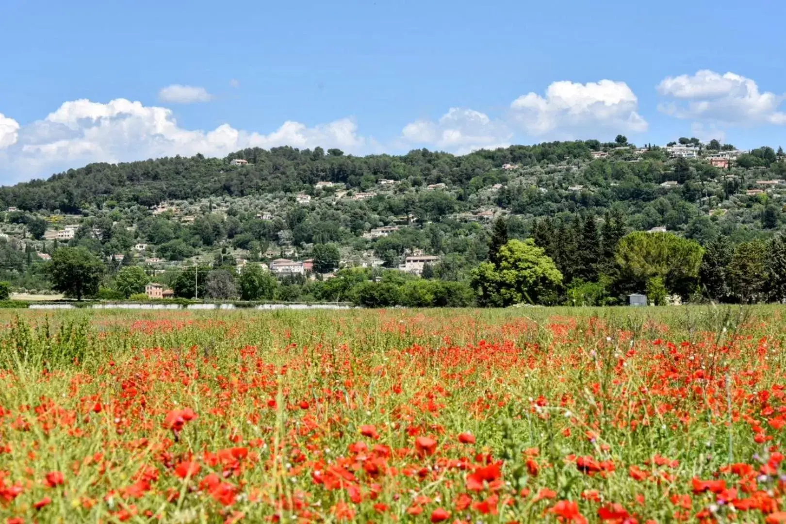 View (from property/room), Natural Landscape in Chambre d'hôtes Cottes