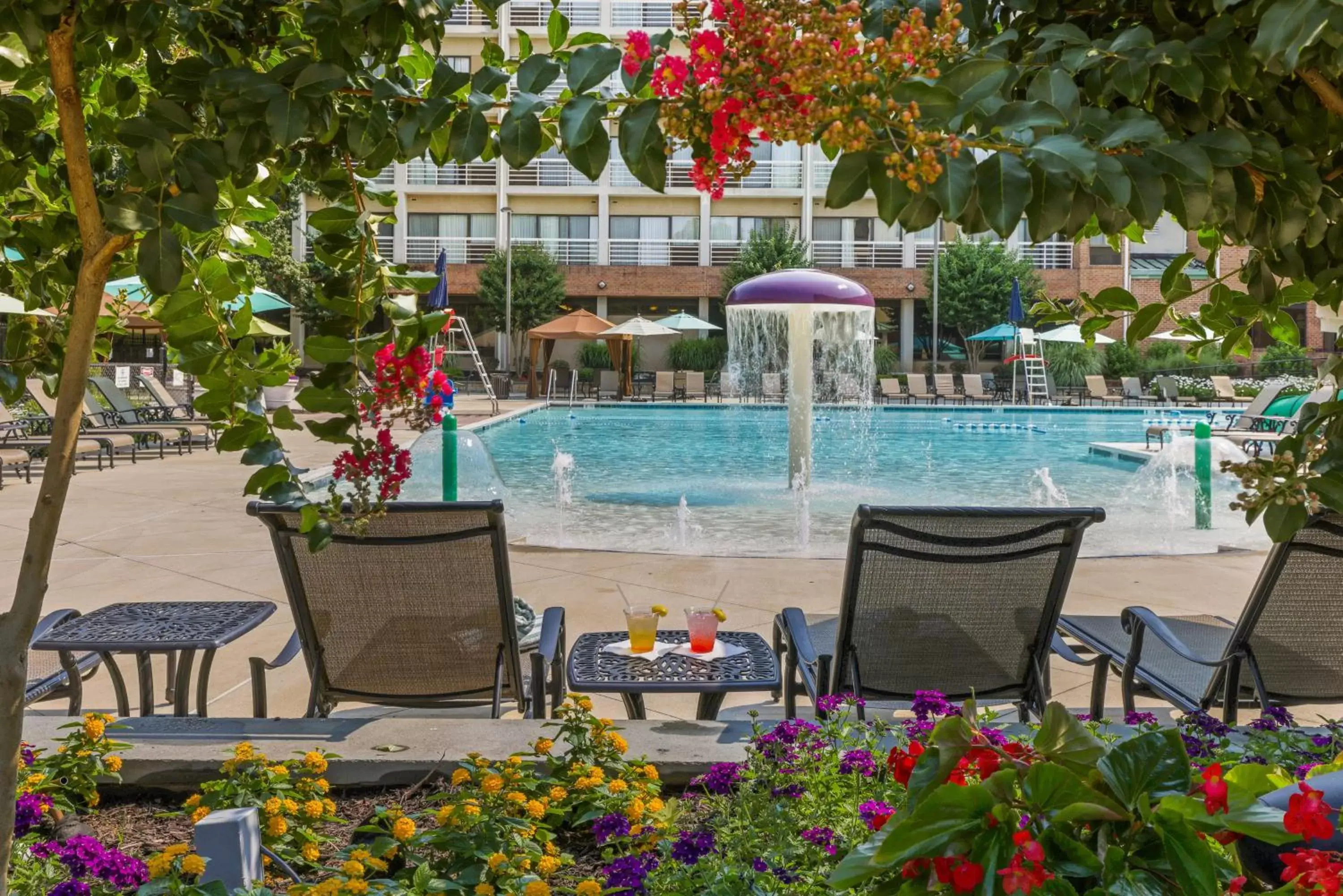 Swimming Pool in Turf Valley Resort