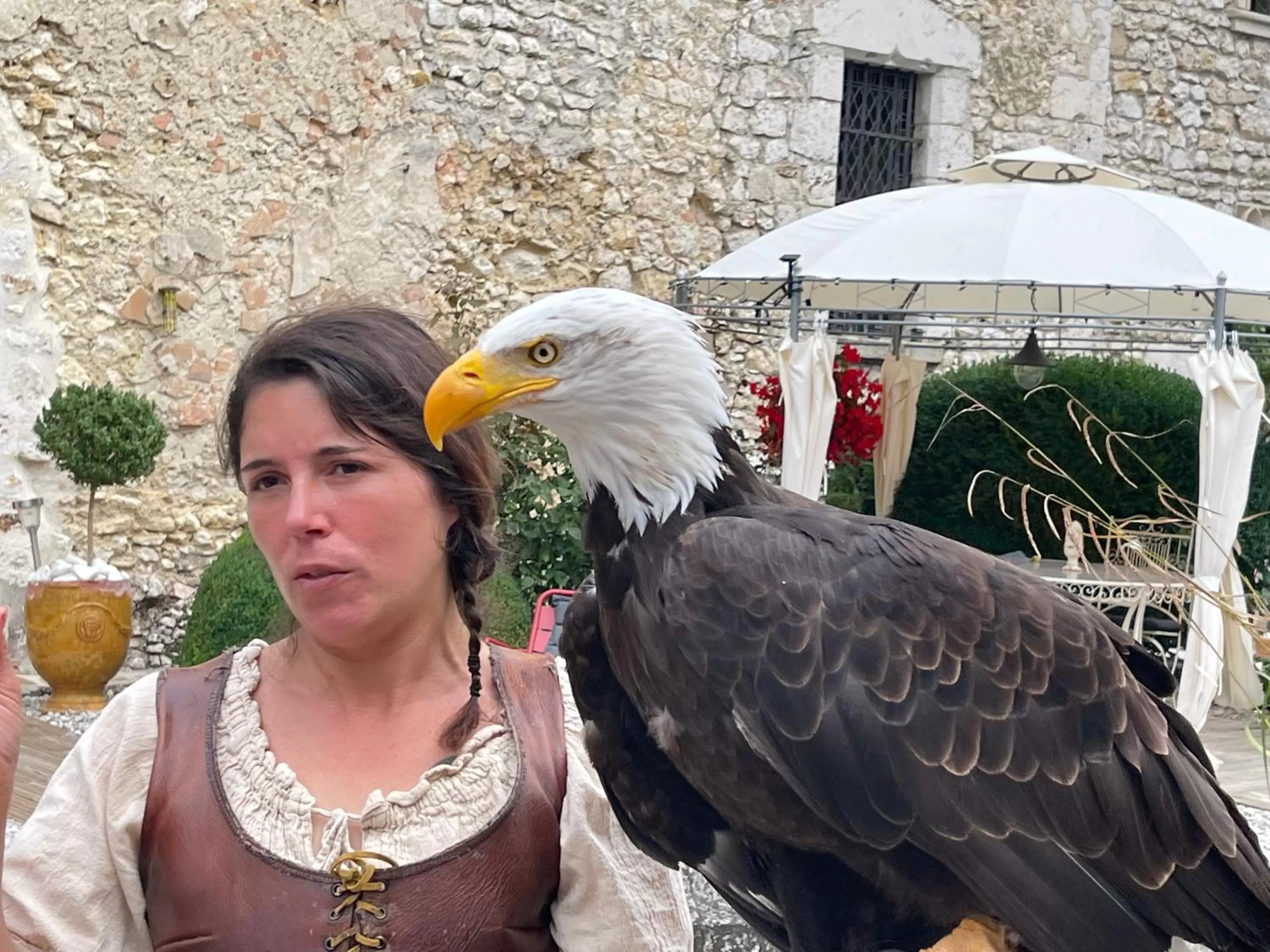 Evening entertainment, Other Animals in Demeure des Vieux Bains