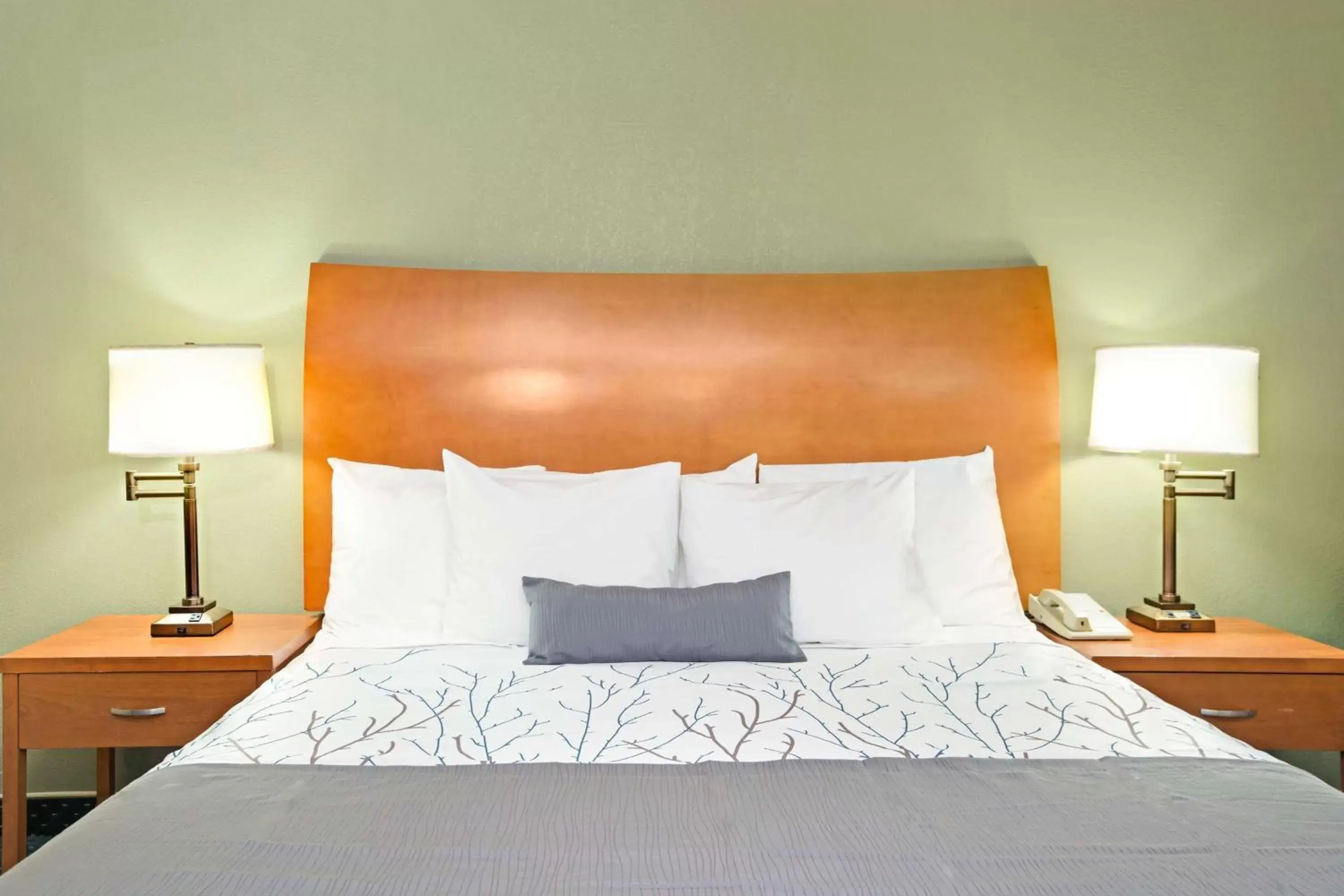 Deluxe Queen Room - Mobility Access/Non-Smoking in Days Inn by Wyndham San Jose Convention Center Deluxe Queen Room - Mobility Access/Non-Smoking in Days Inn by Wyndham San Jose Convention Center