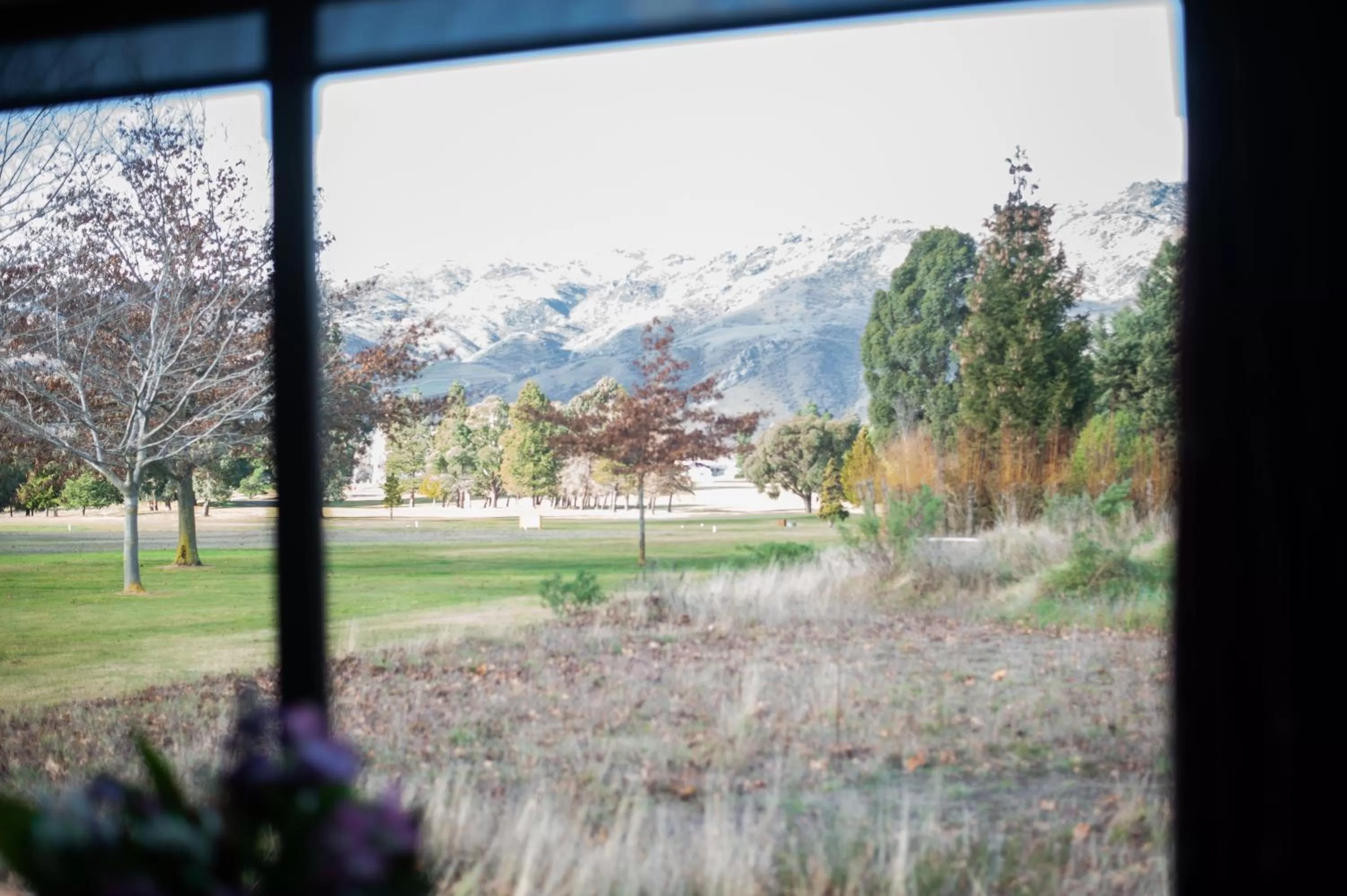 Natural landscape in Carrick Lodge Motel