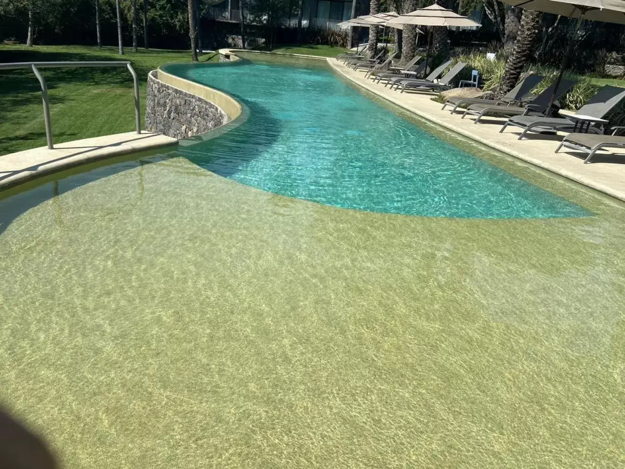 Swimming Pool in Huayacán Cuernavaca Curamoria Collection