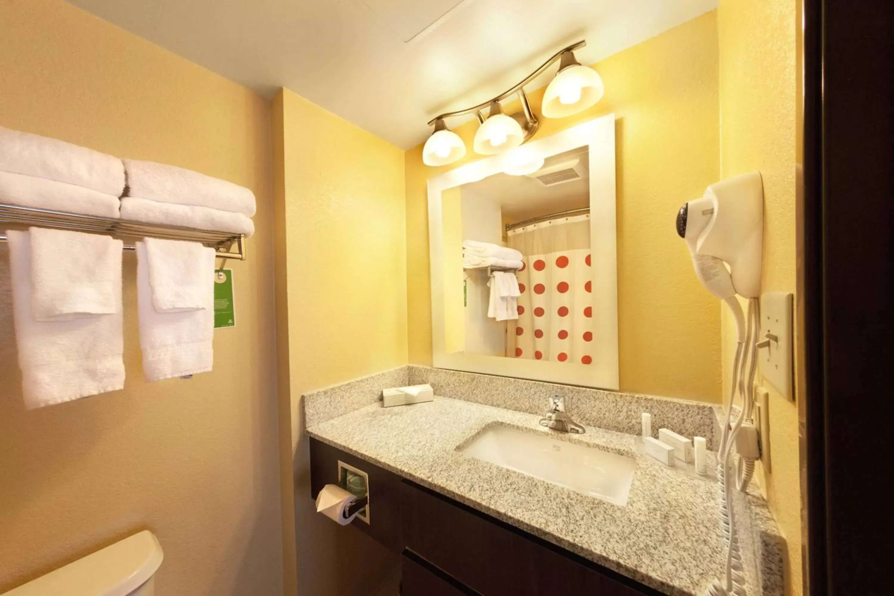 Bathroom in TownePlace Suites Wilmington Newark / Christiana