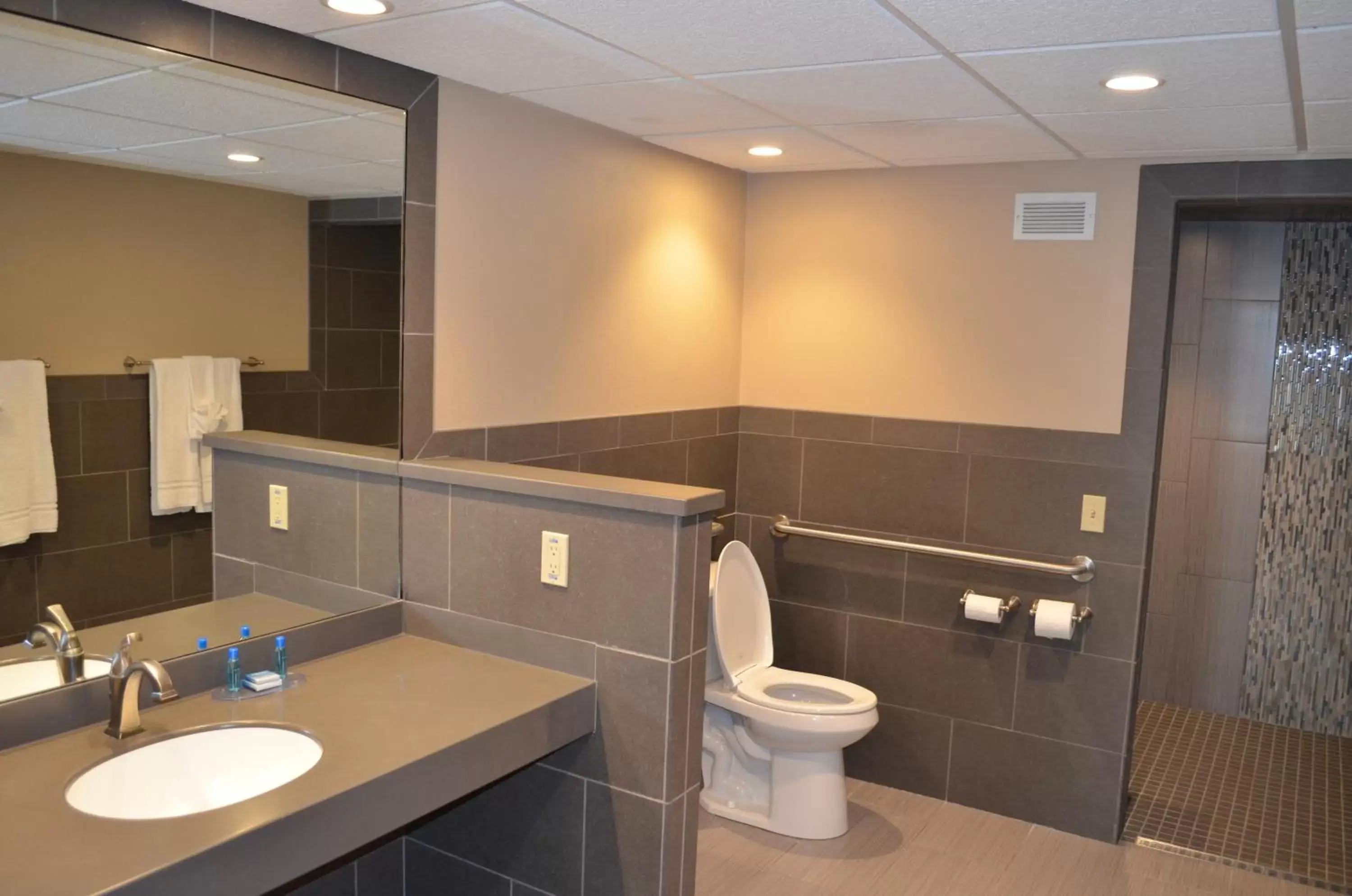 Shower, Bathroom in Best Western Starlite Village