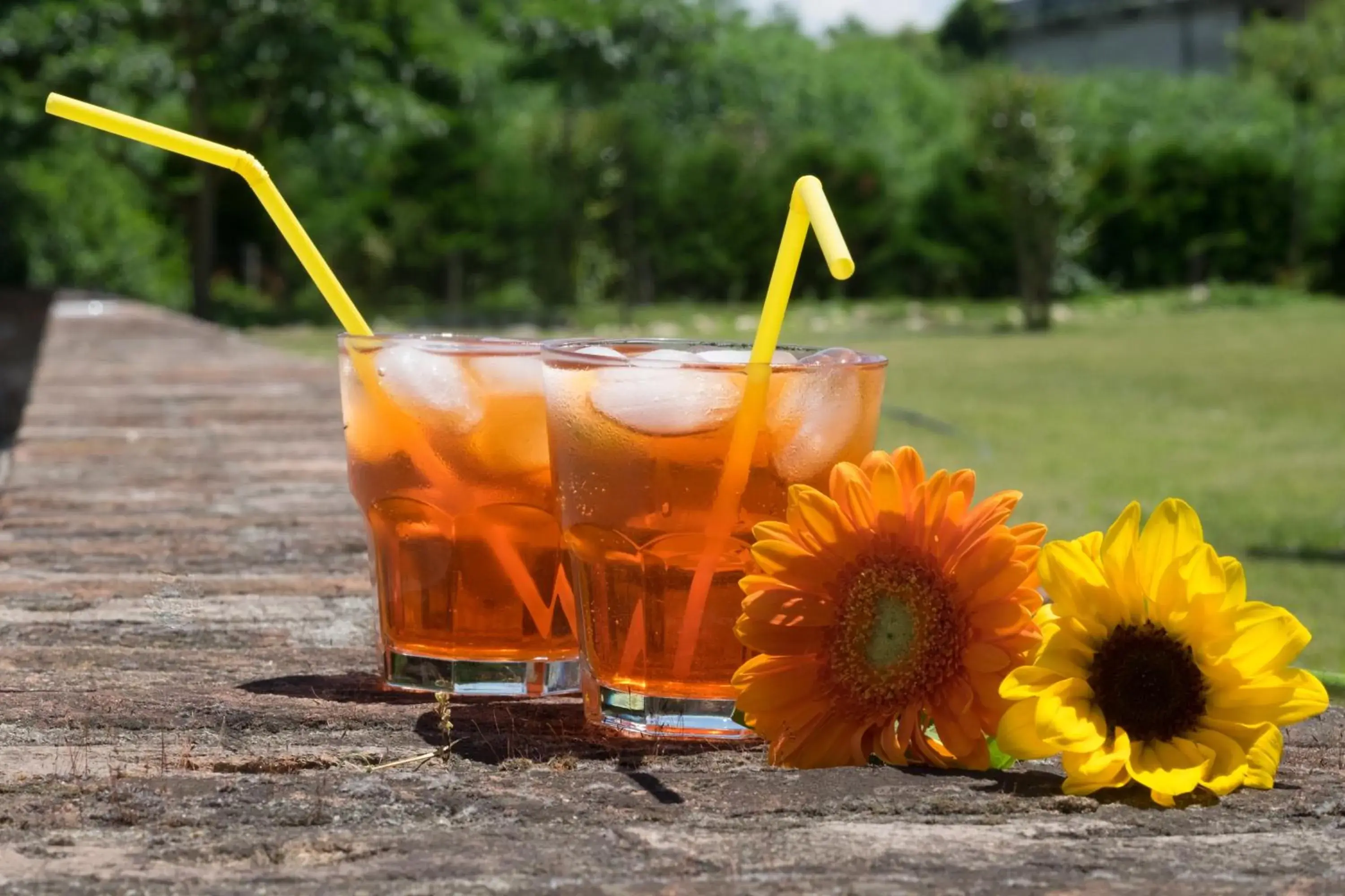 Lounge or bar, Garden in Hotel Le Botti