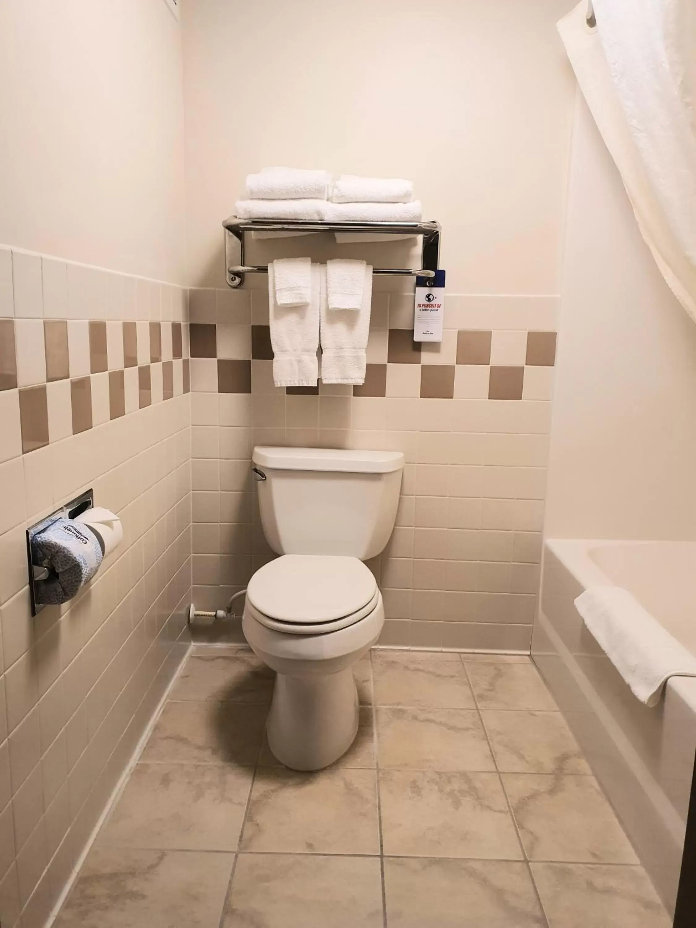 Bathroom in AmeriVu Inn and Suites - Waconia