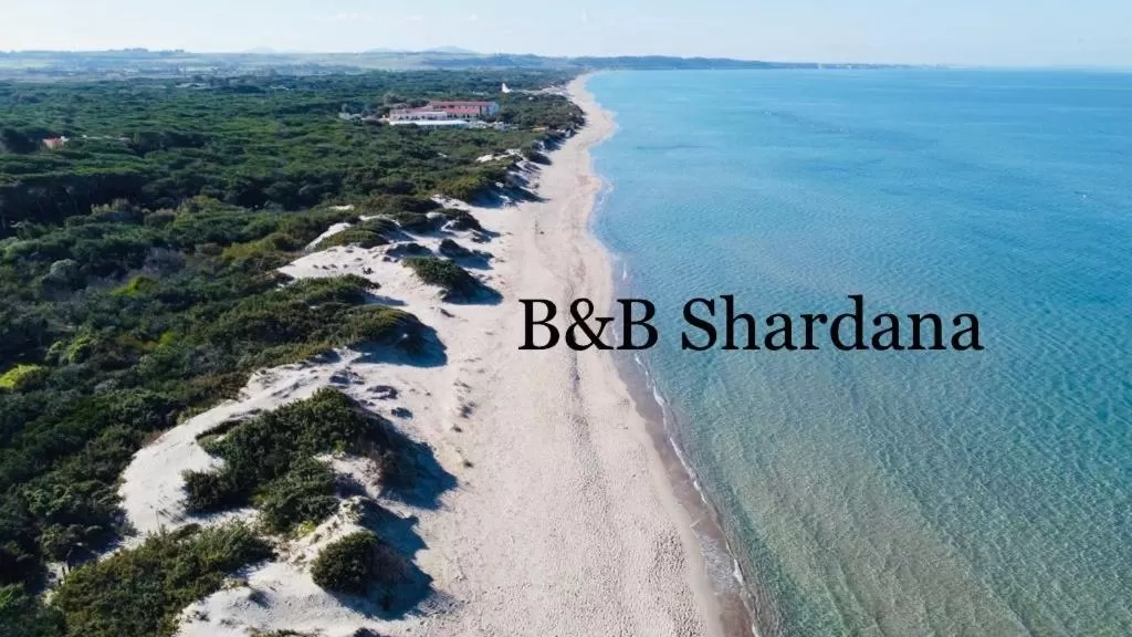 B&B SHARDANA