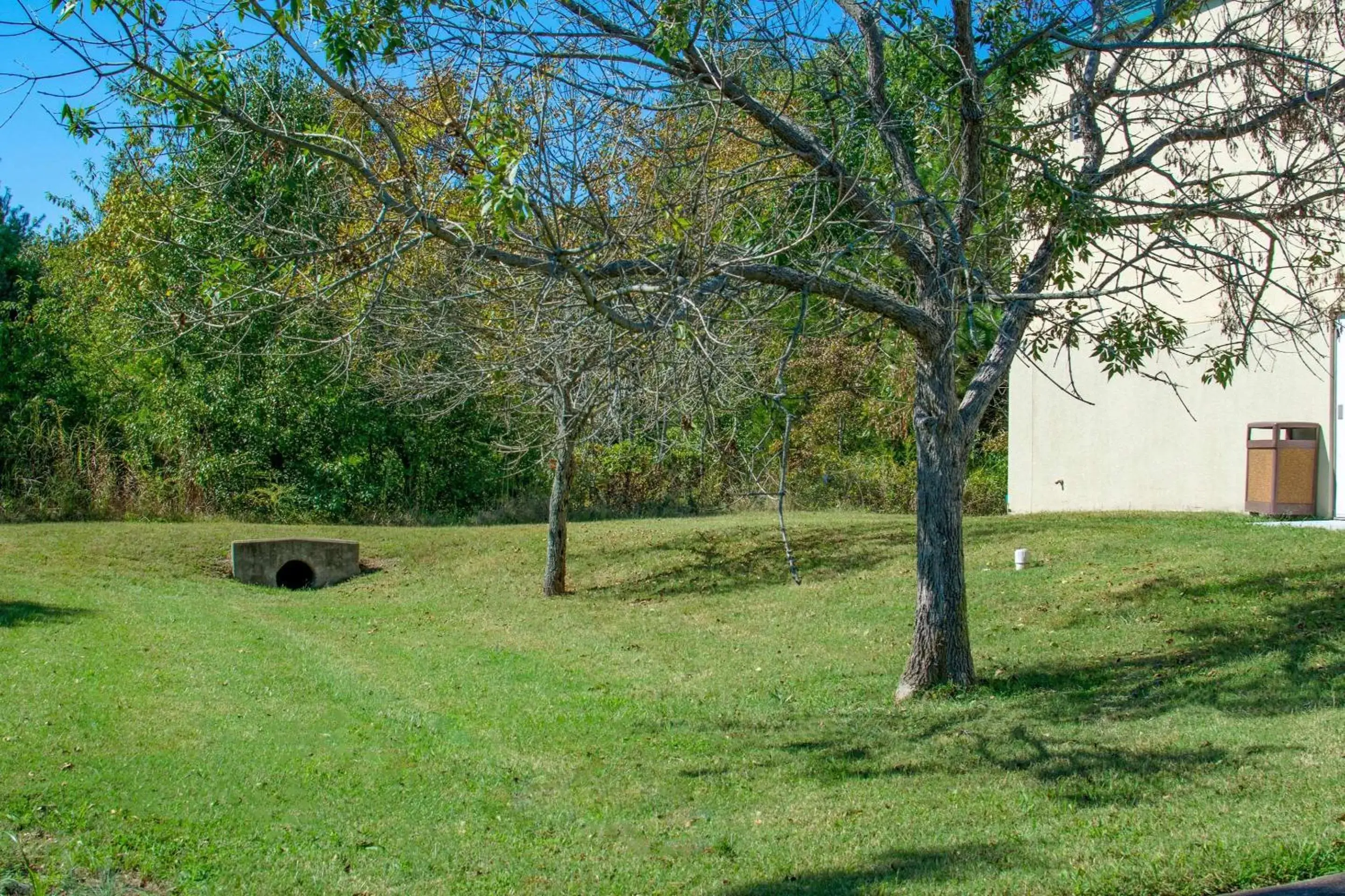 Swimming pool, Garden in Quality Inn