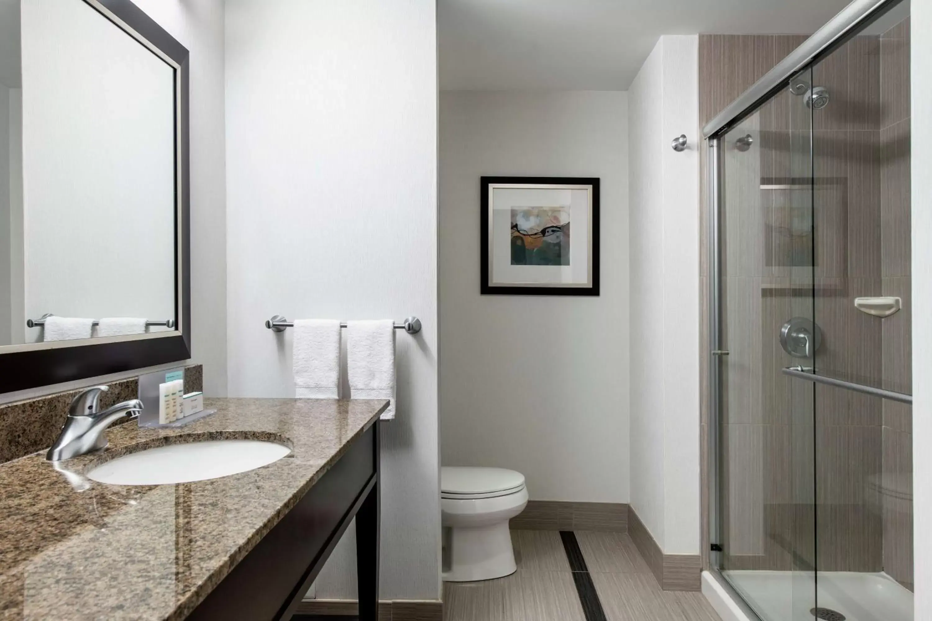 Bathroom in Hampton Inn by Hilton Winnipeg