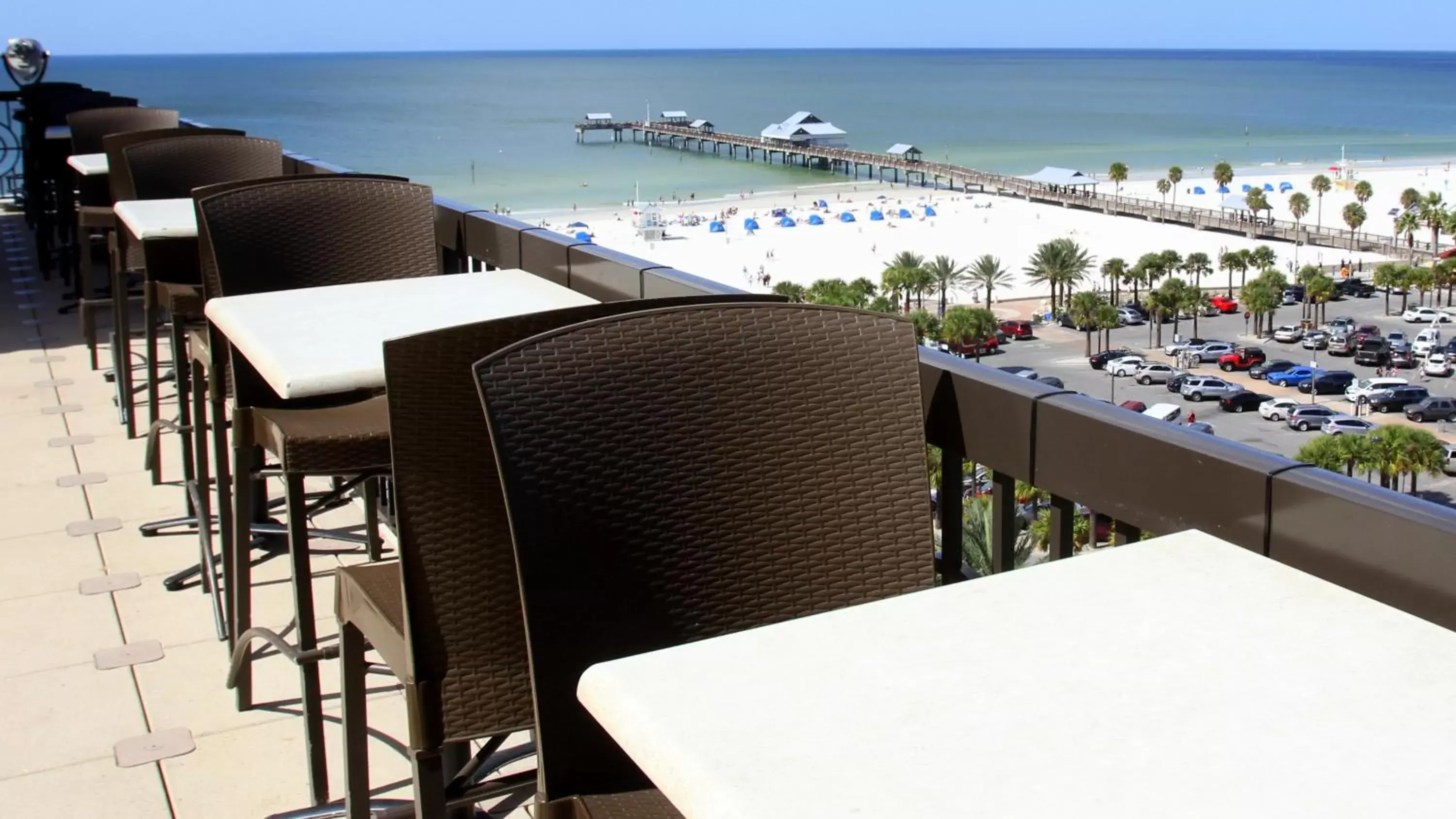 Lounge or bar, Restaurant/Places to Eat in Pier House 60 Clearwater Beach Marina Hotel