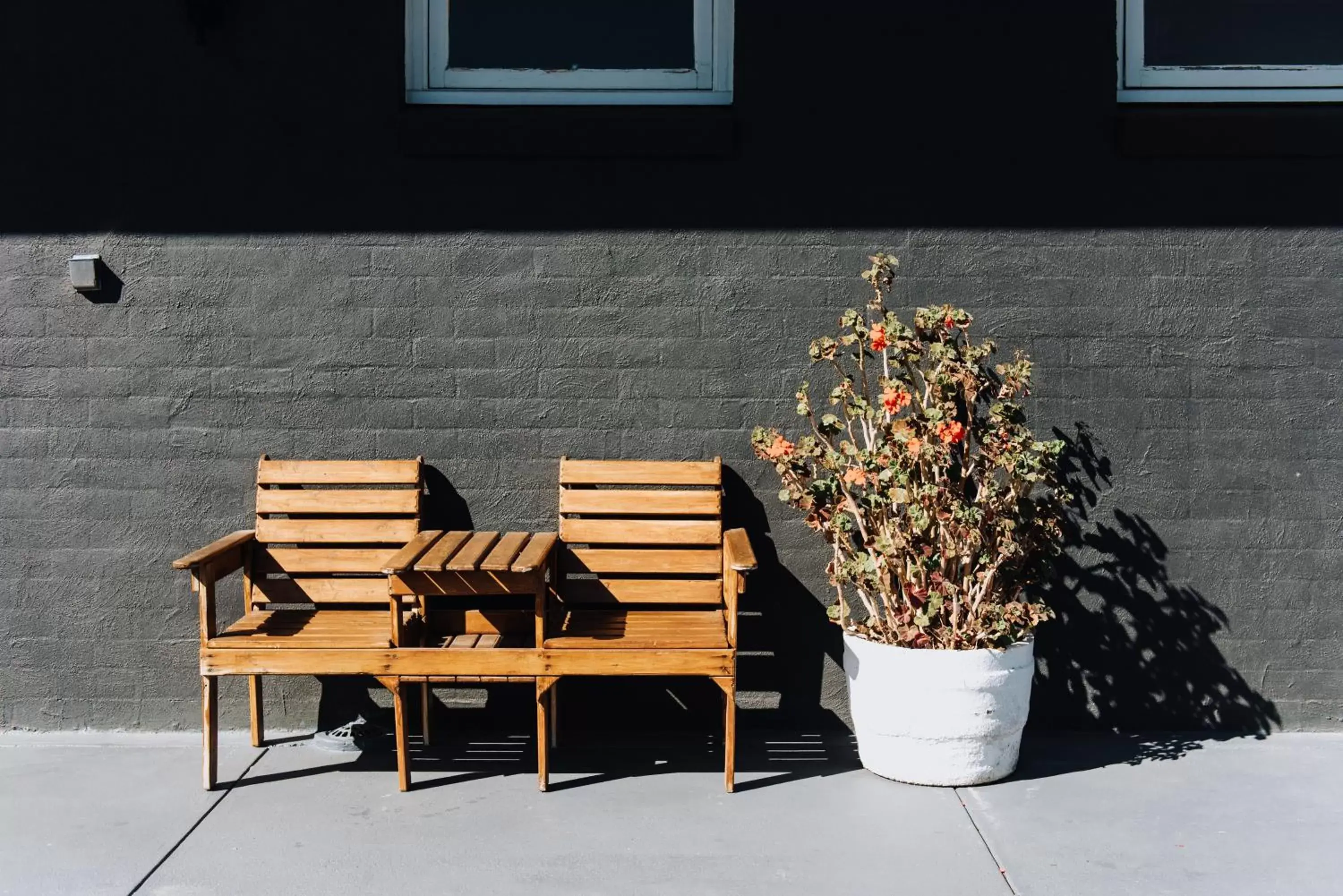 Garden in Tamworth City Motel