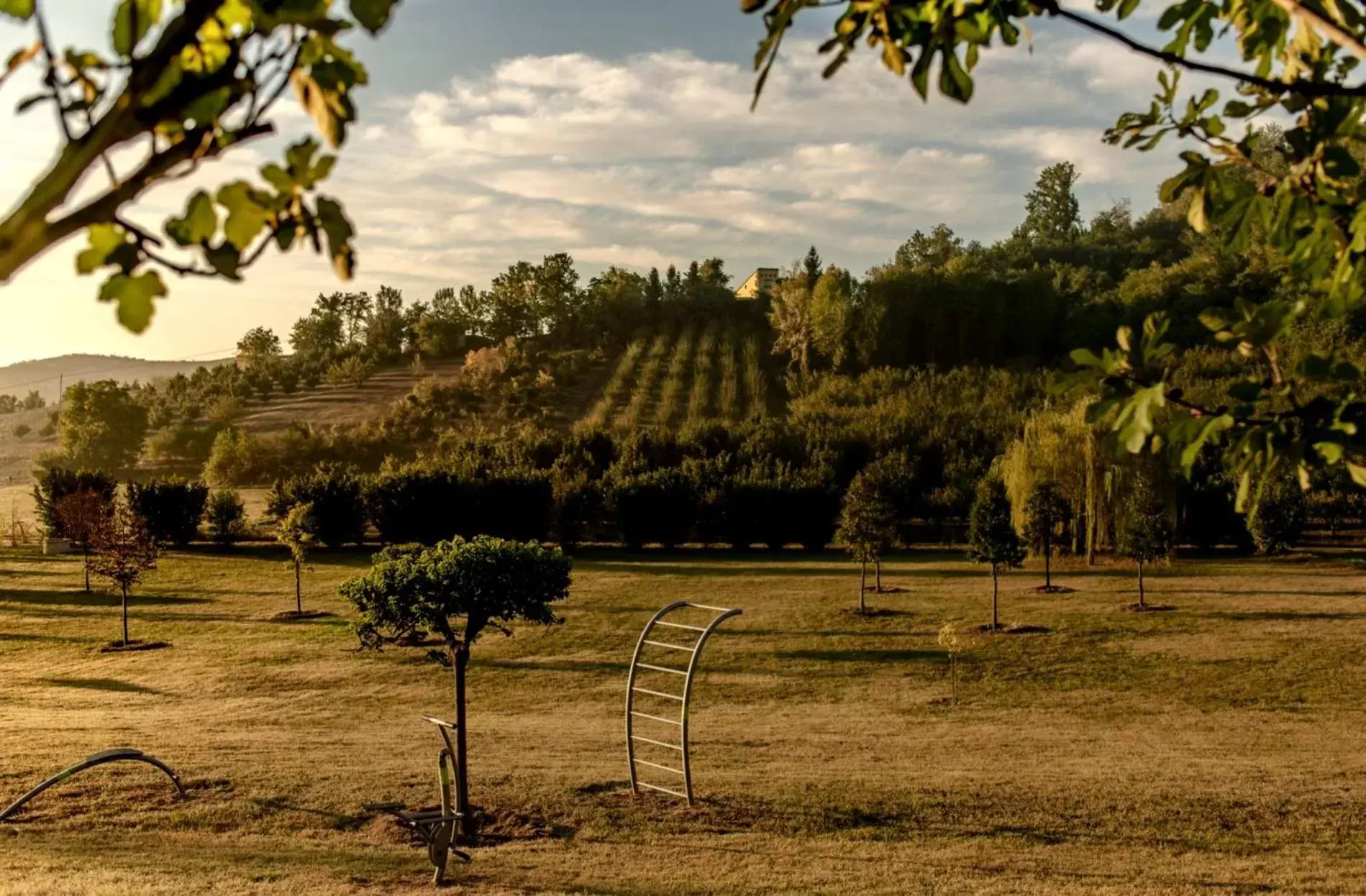 Natural landscape in Parco Reala // Rural - Luxury - Rooms