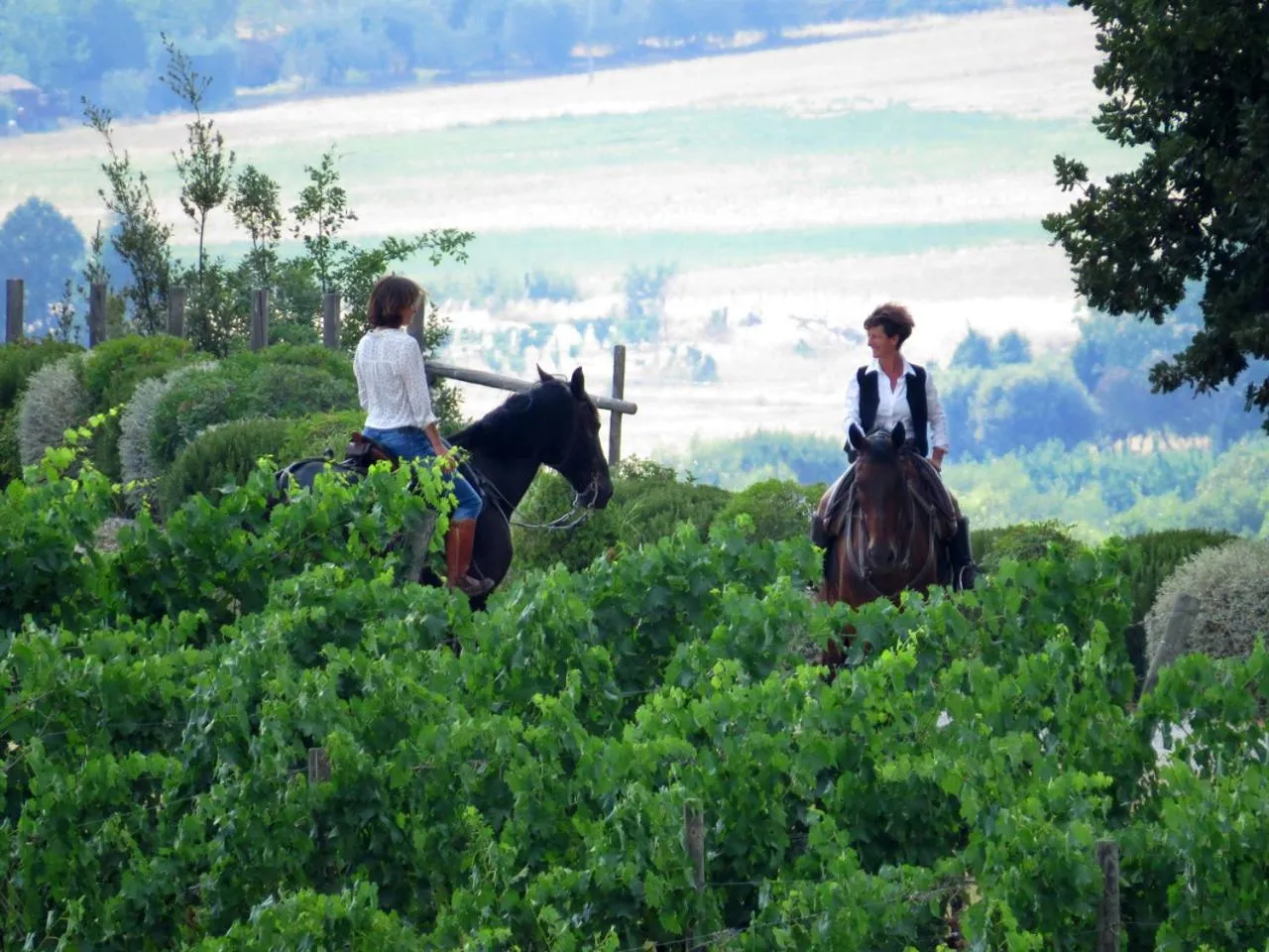 Horse-riding in Castello Banfi - Il Borgo - Relais et Chateaux
