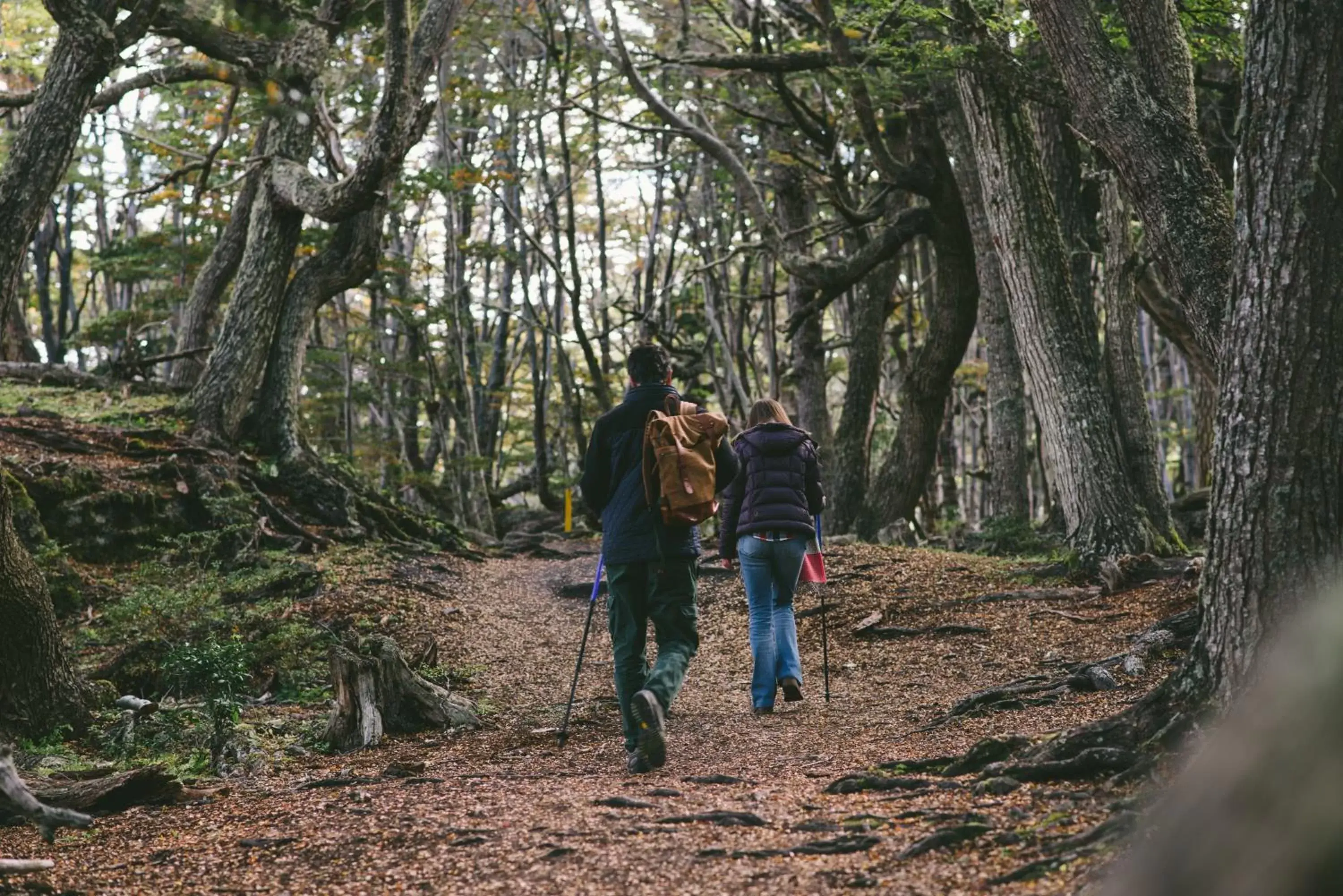 Hiking in Los Cauquenes Resort + Spa + Experiences