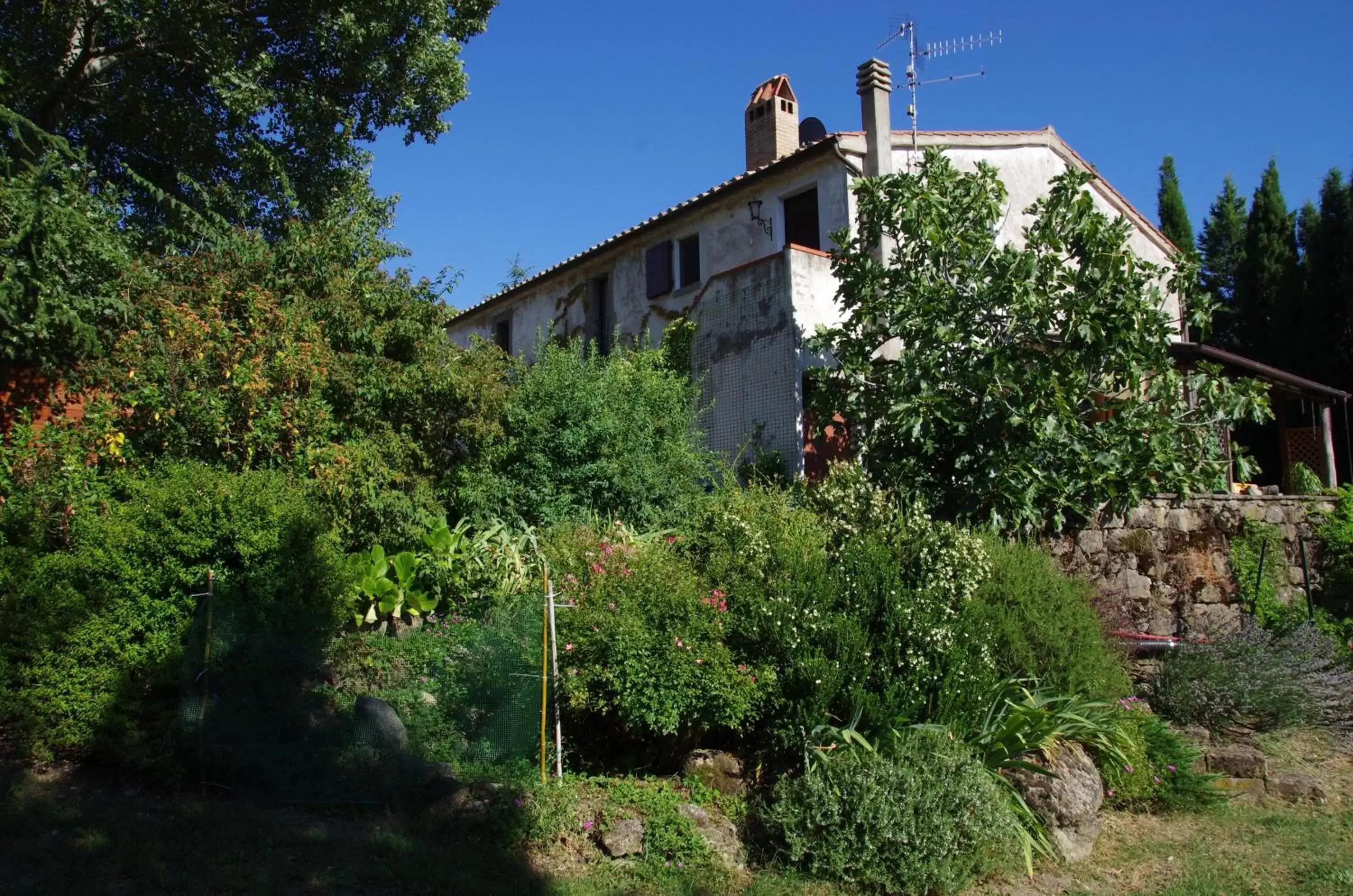 Property Building in Podere Pinzicalari