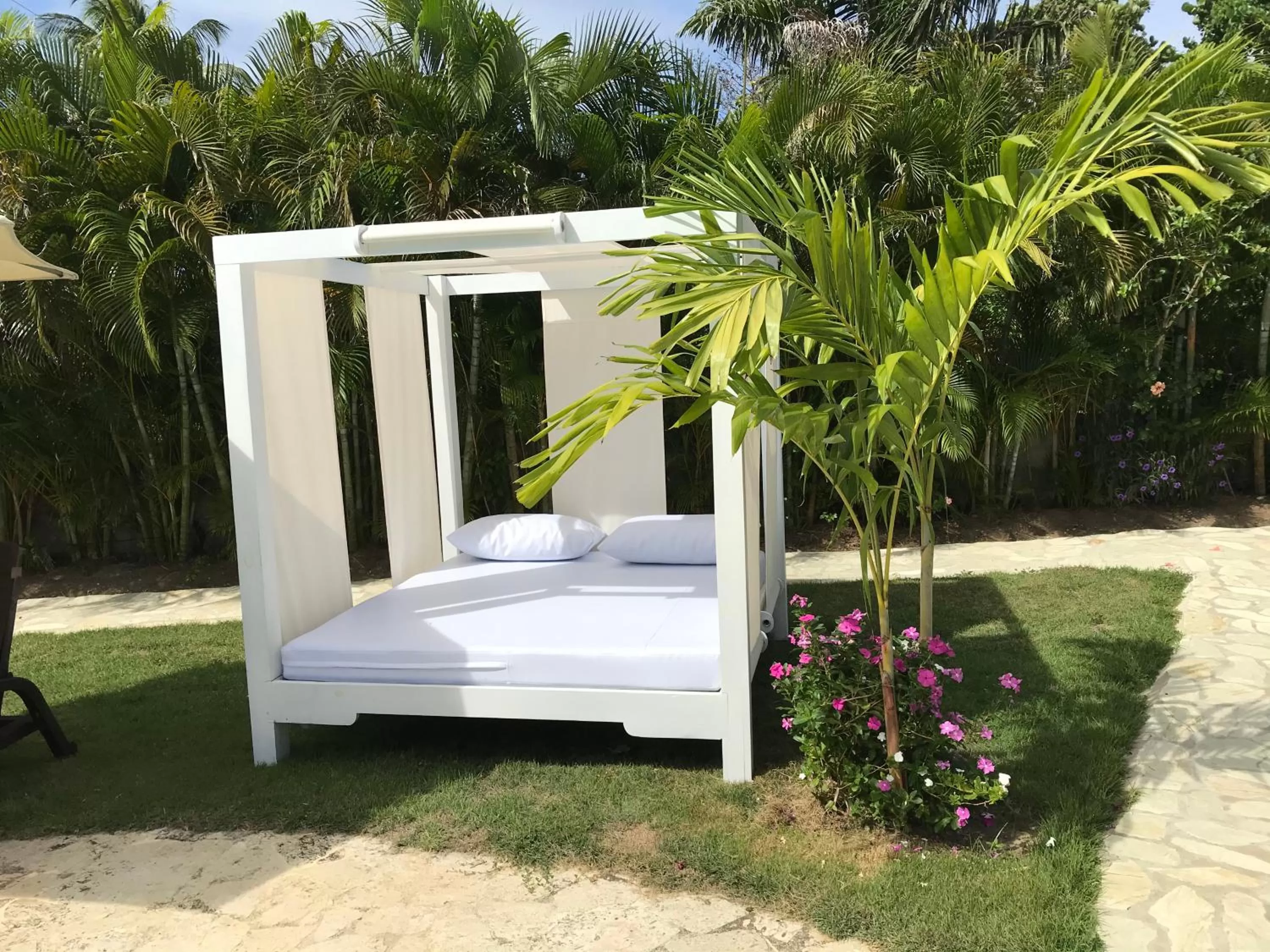 Garden in Diamond Hotel Cabarete