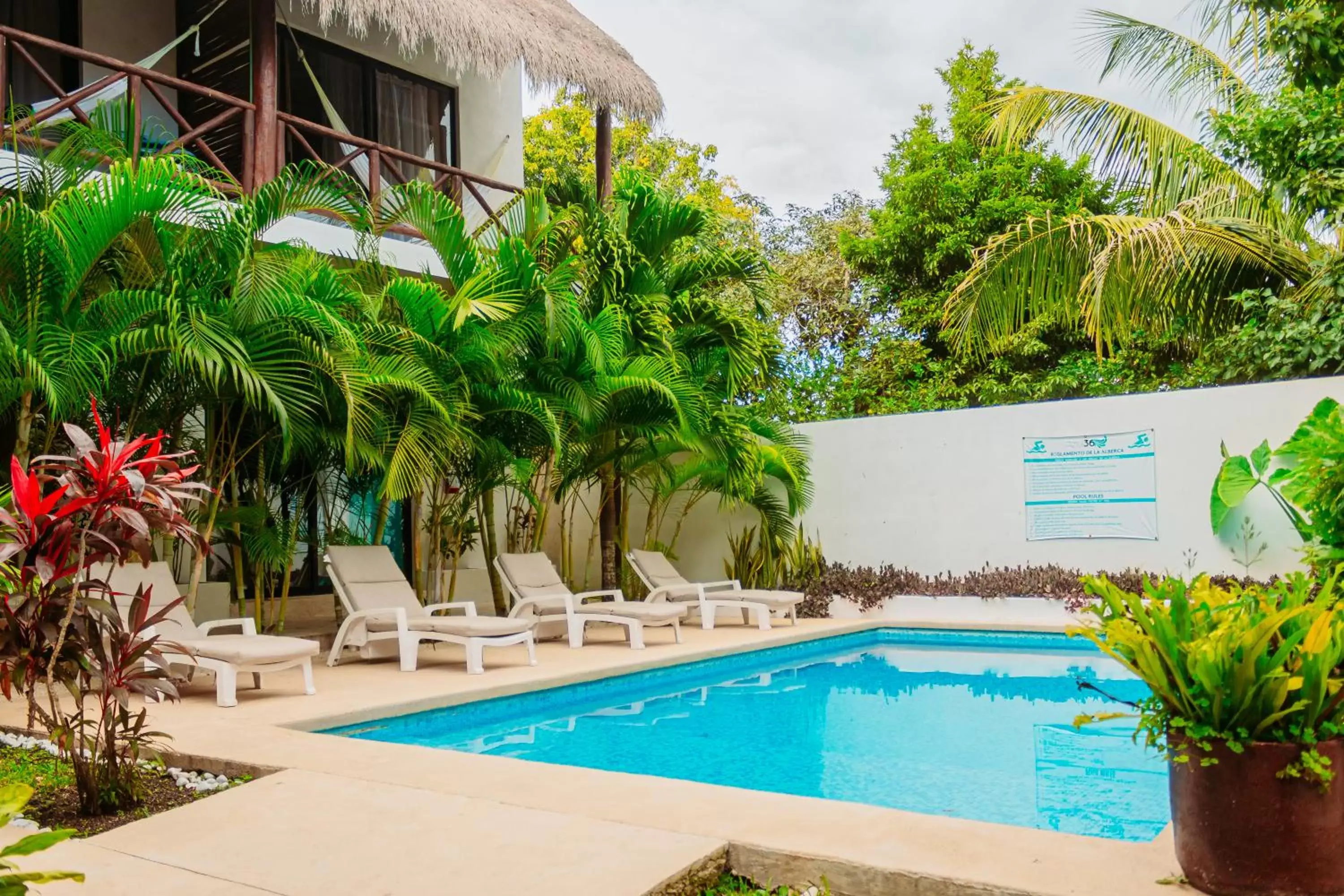 Swimming Pool in Azul 36 Hotel