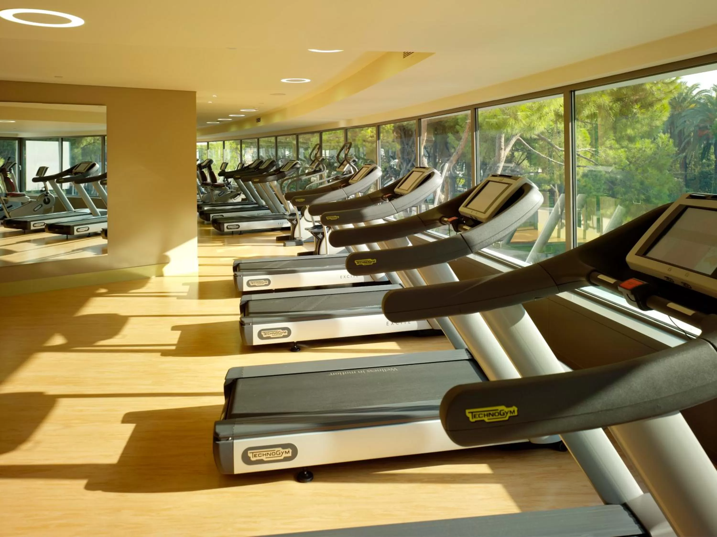 Fitness centre/facilities in Swissotel Buyuk Efes Izmir