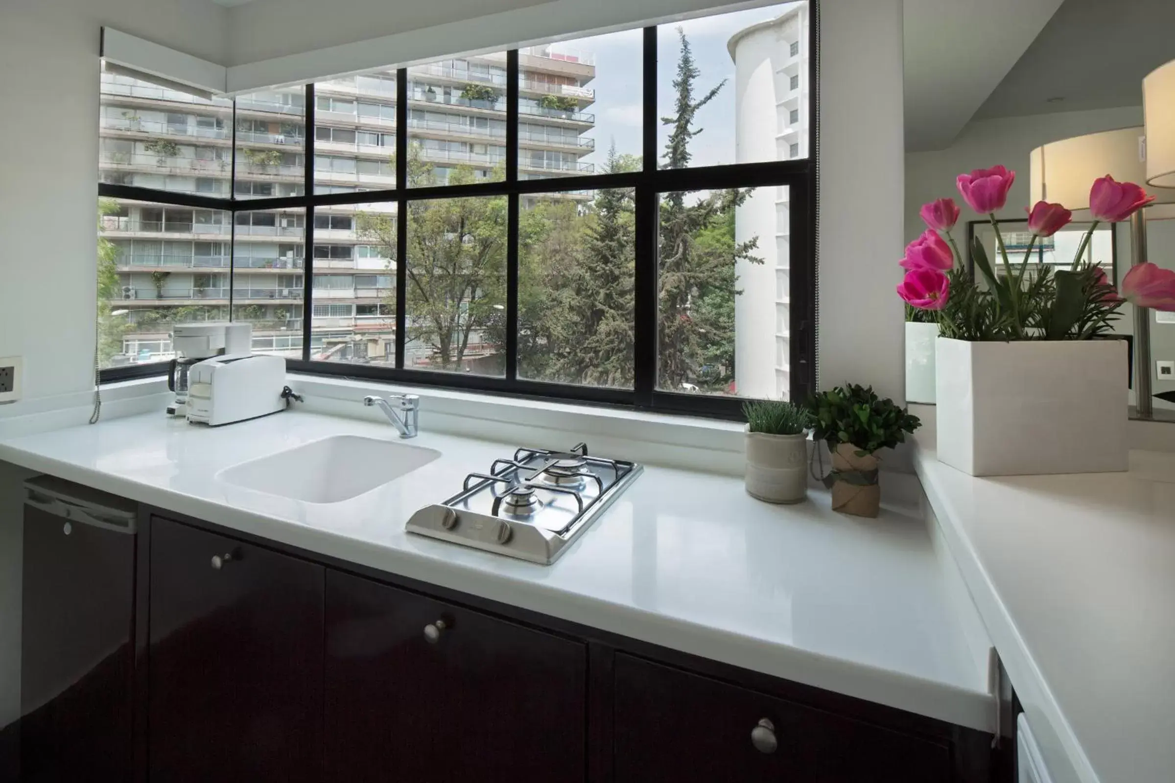 Kitchen or kitchenette, Bathroom in FlowSuites Polanco