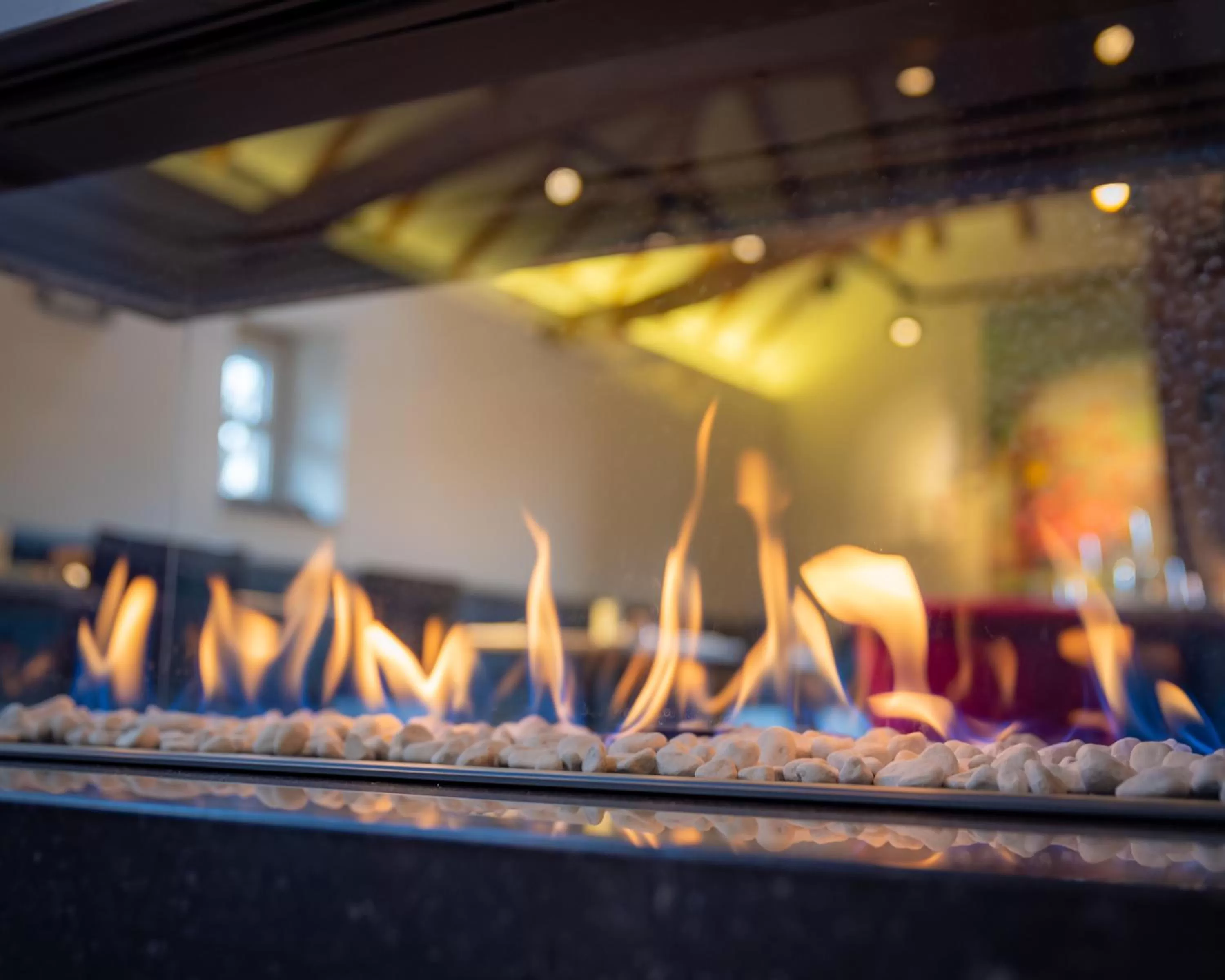 Restaurant/places to eat in B&B Weselo