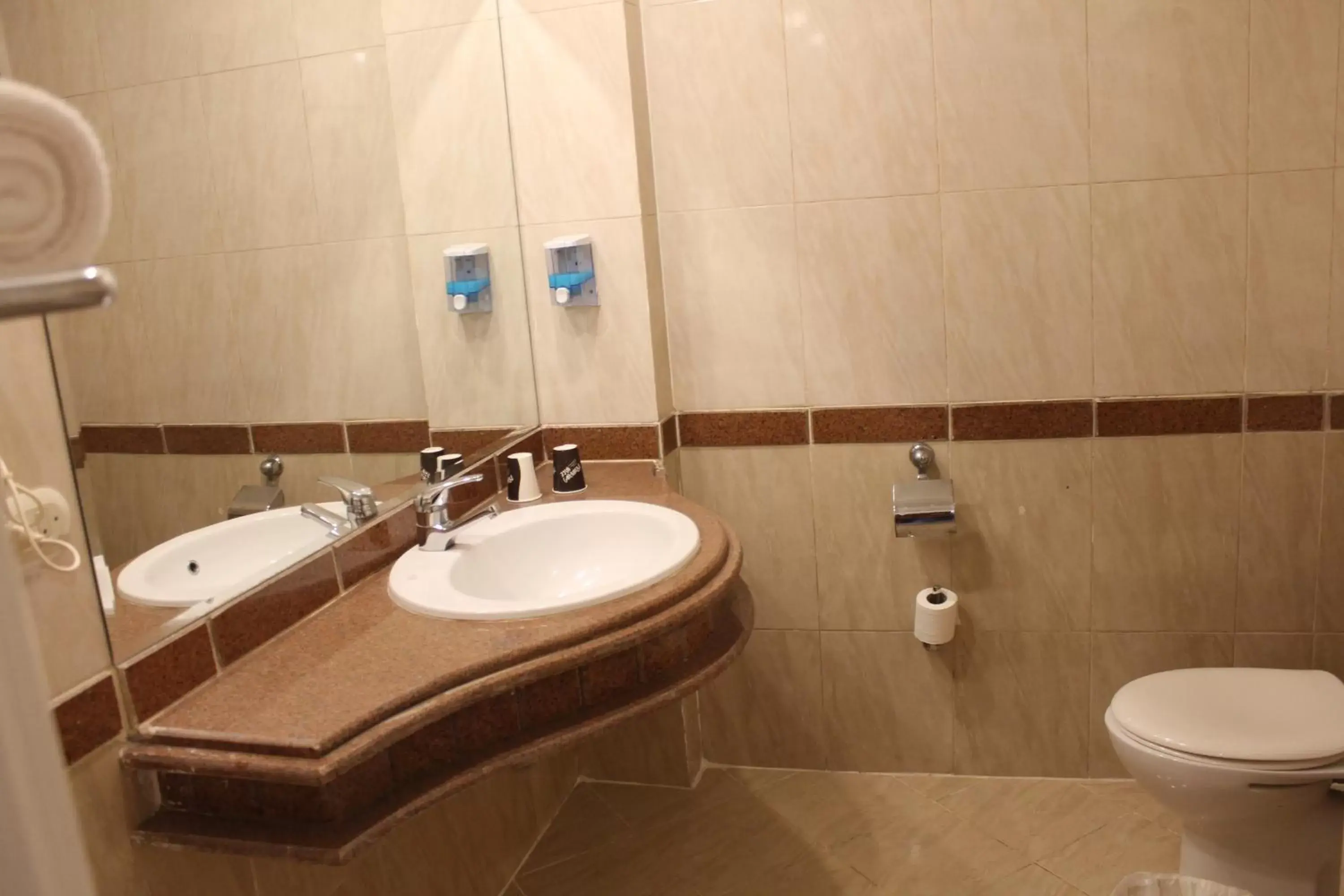 Bathroom in ZYA Regina Resort and Aqua Park Hurghada