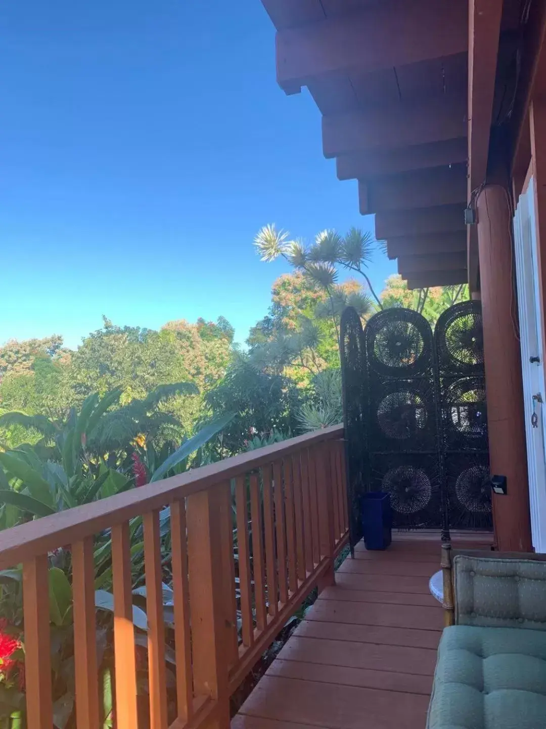 Balcony/Terrace in Coffee Garden