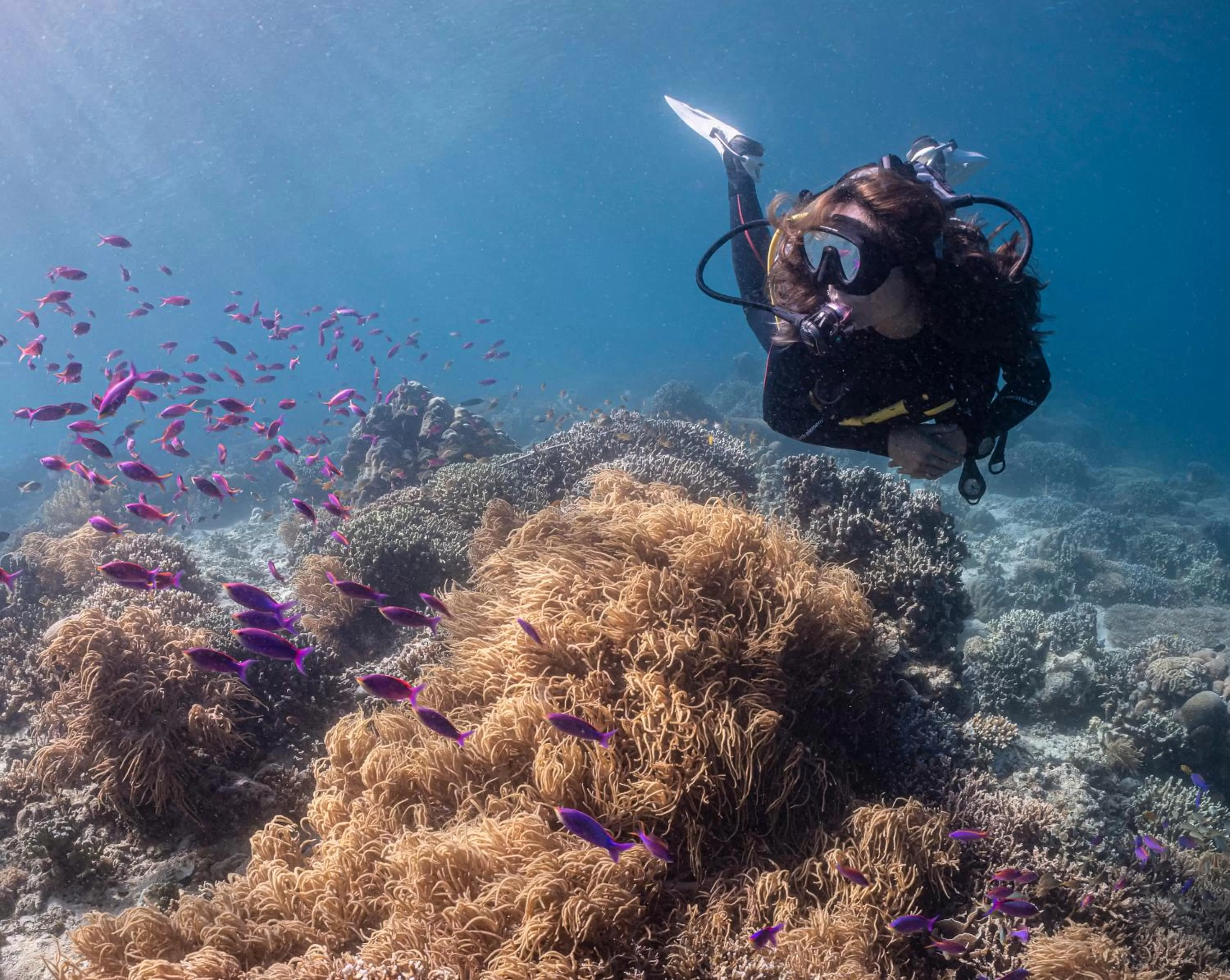 Activities in Emoha Dive Resort