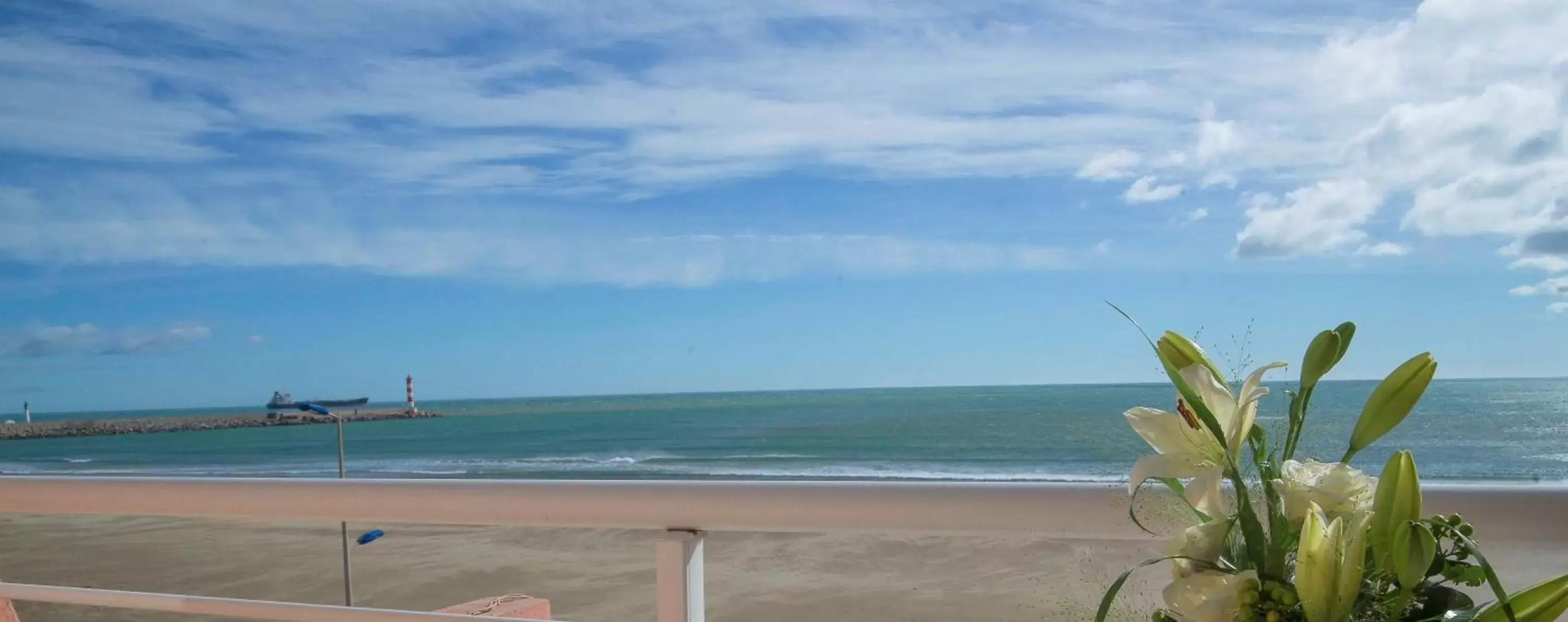 Sea view, Beach in Logis Hôtel Mediterranee