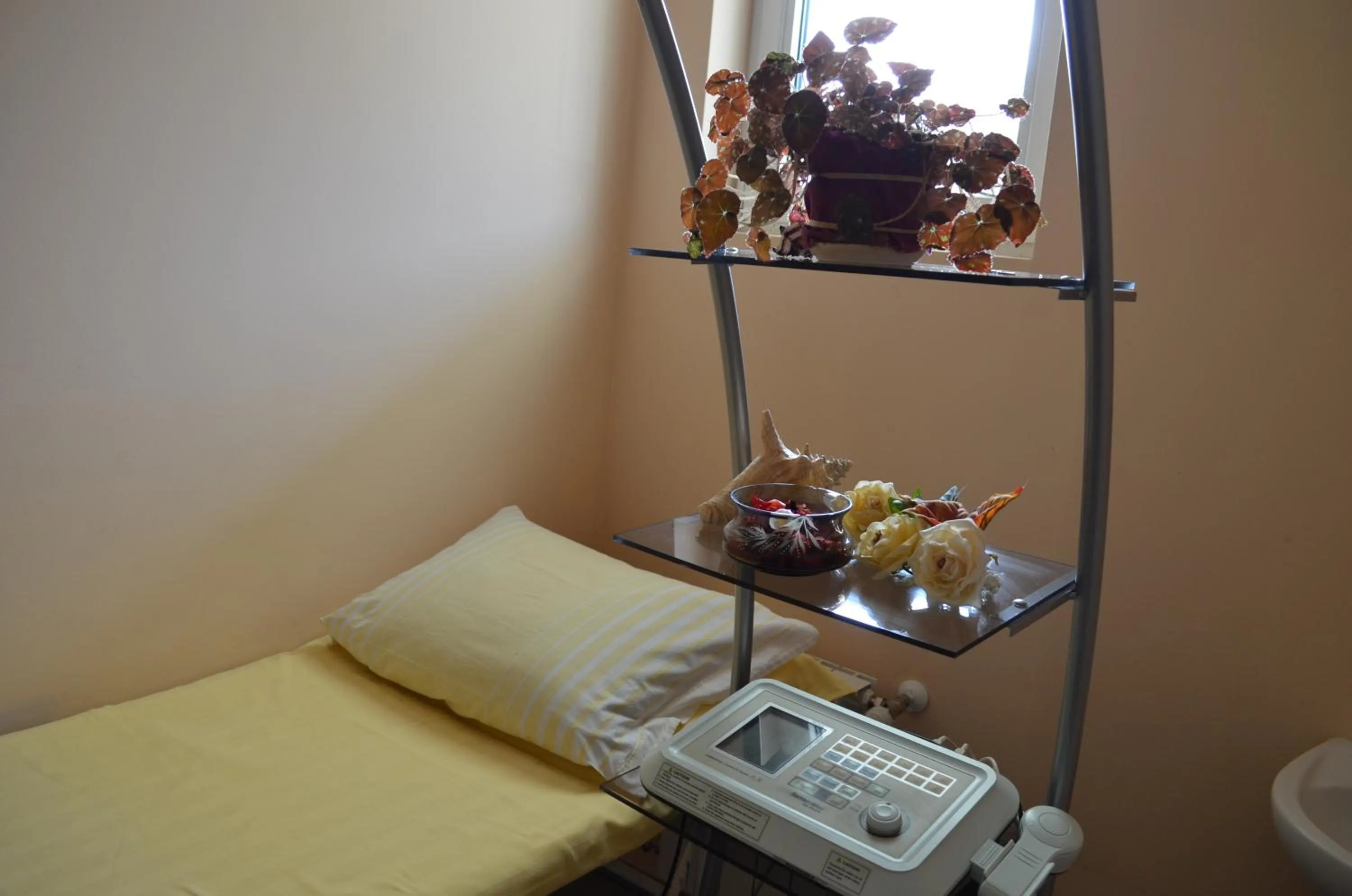 Spa and wellness centre/facilities, Bed in Hotel Bankya Palace