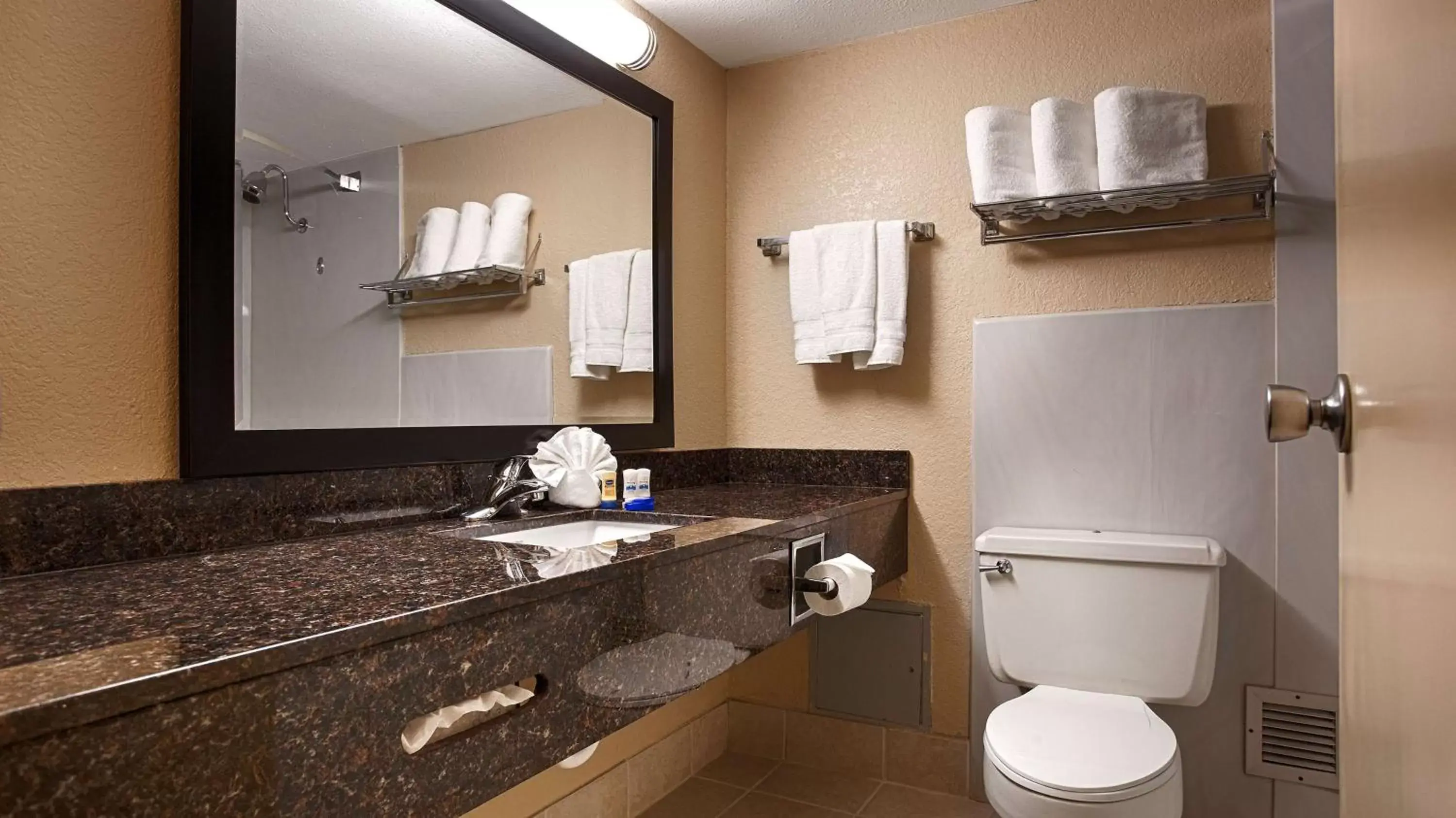 Bathroom in Best Western Regency Inn