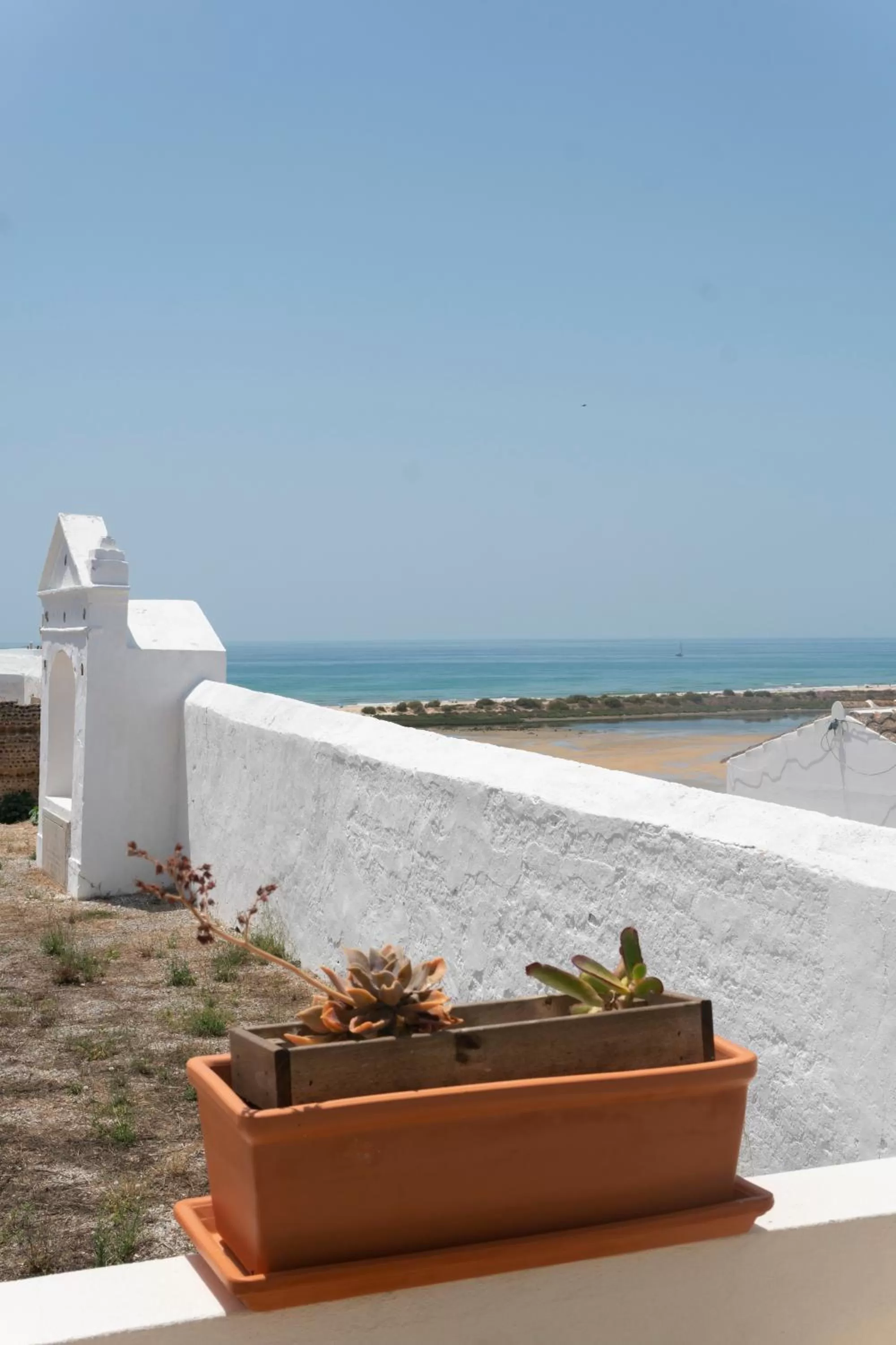 Natural landscape in A Casa de Cima - Cacela Velha