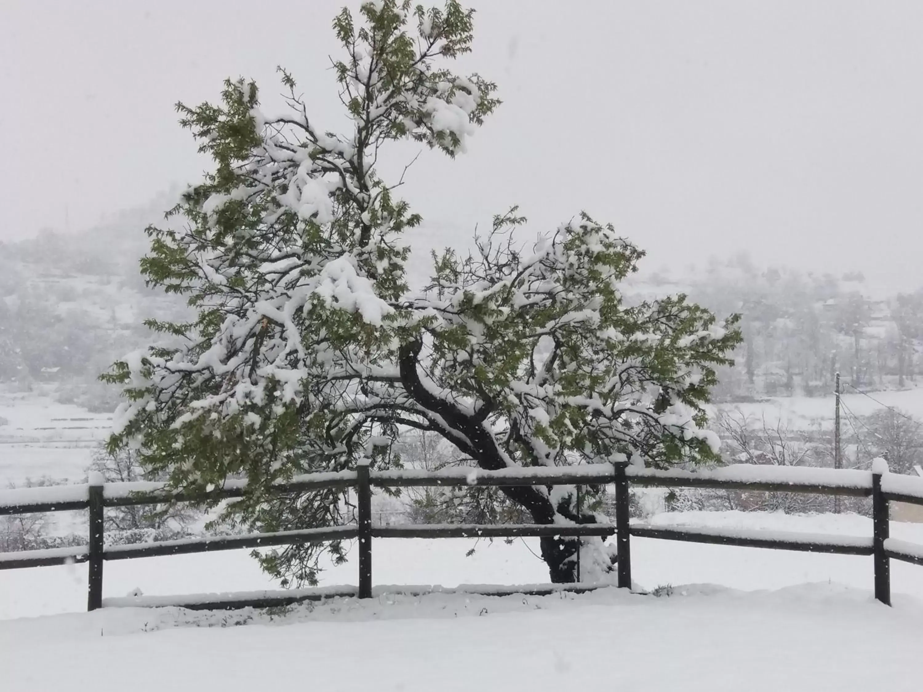 Garden view, Winter in Hotel Boutique Bodegas De Arnes - Adults Only