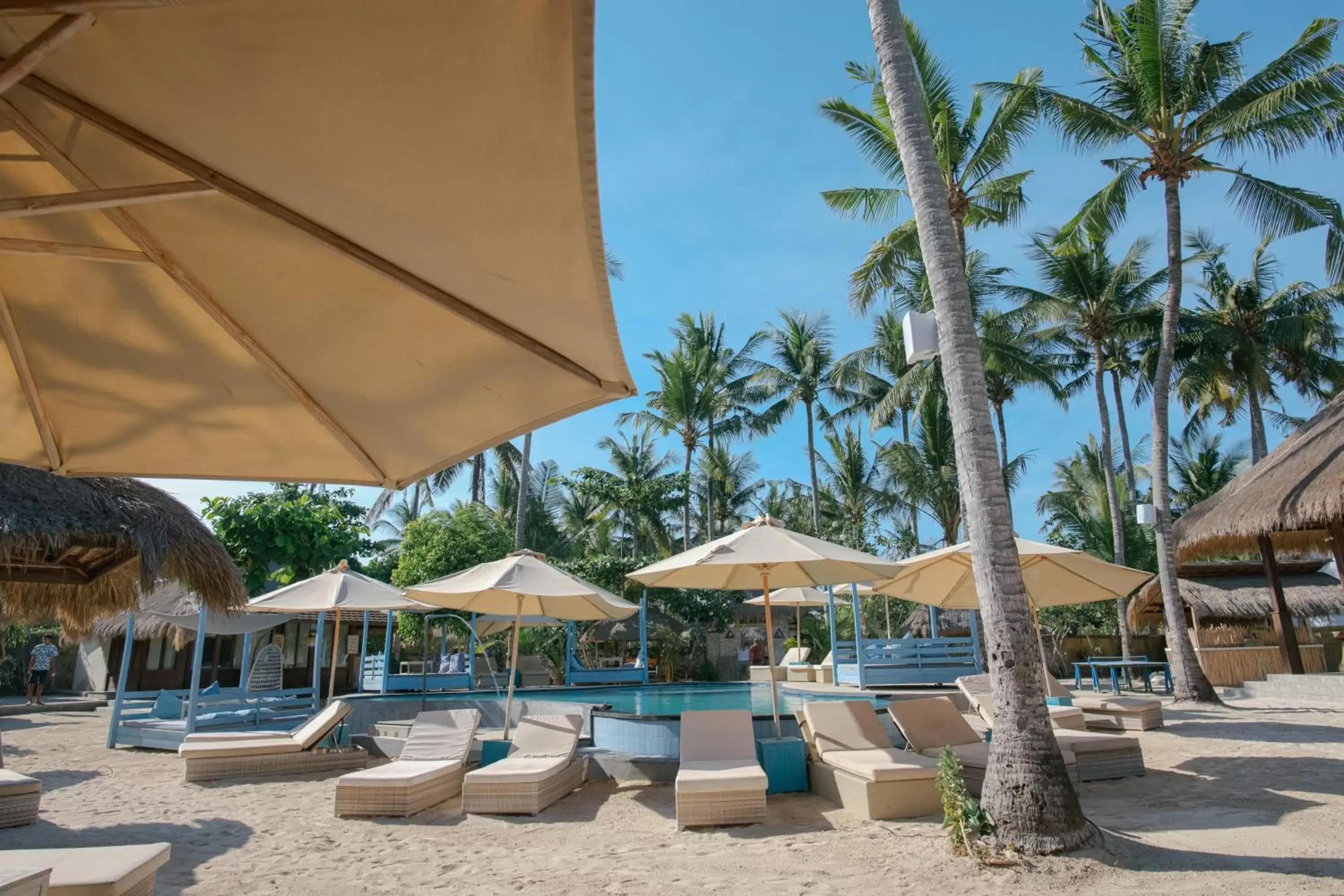 Garden, Swimming Pool in Le Nusa Beach Club