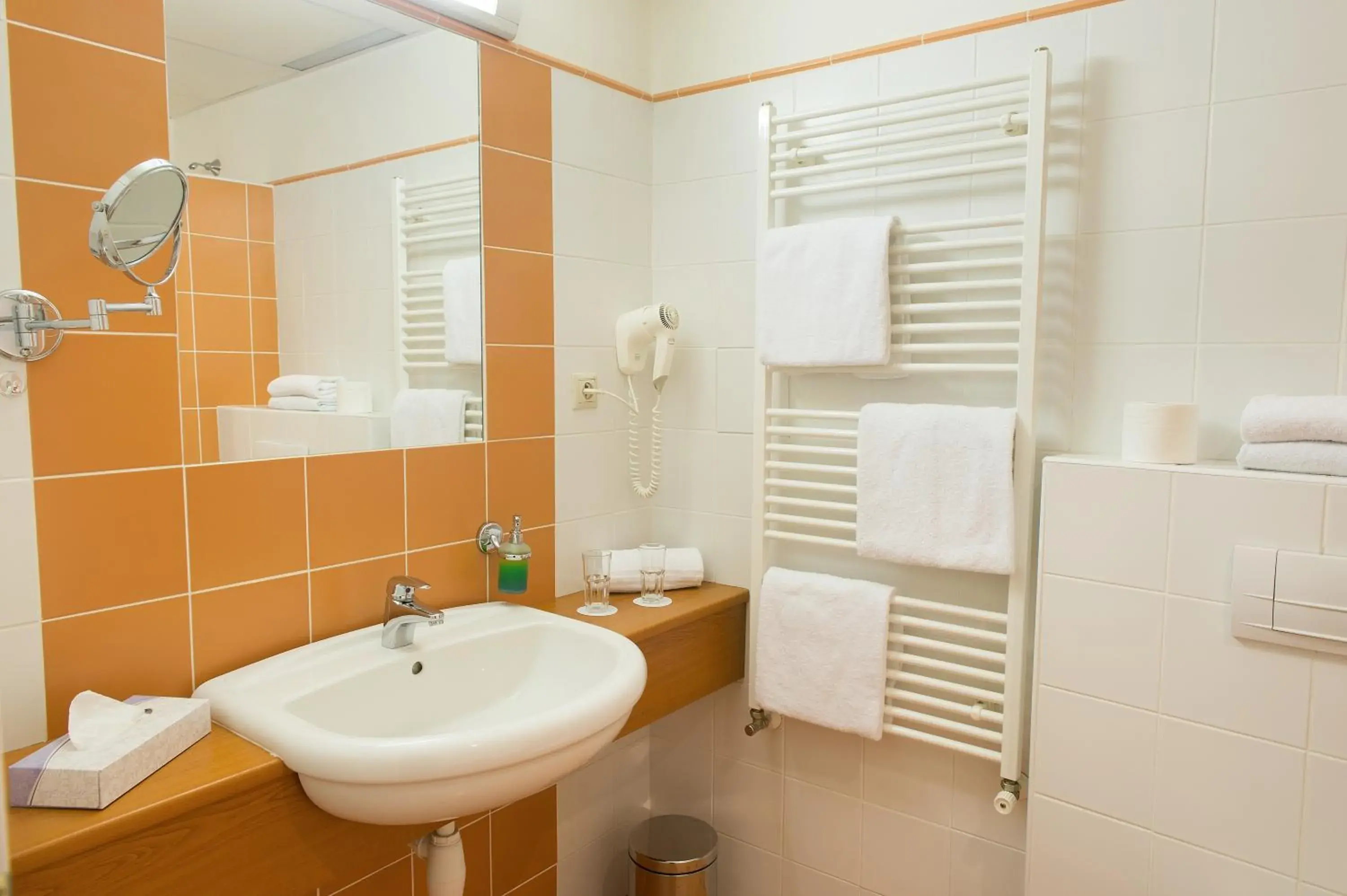 Bathroom in Hotel Grand Litava Beroun