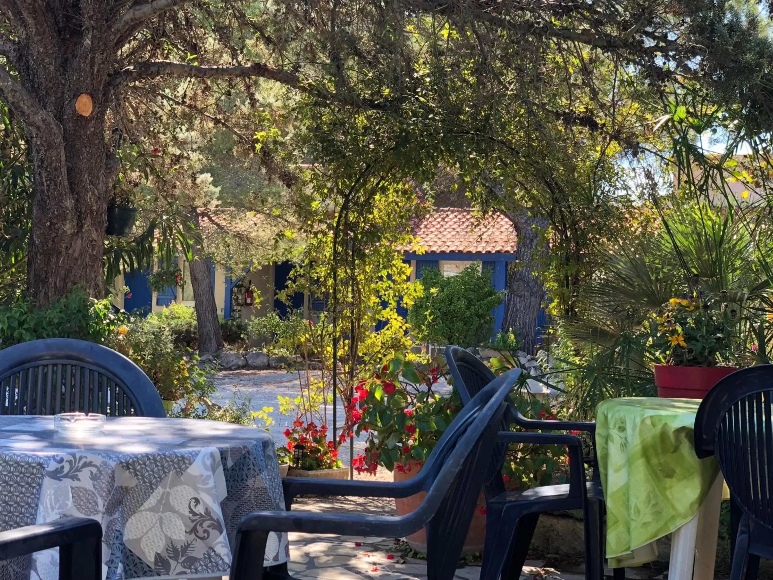 Garden view in Hotel Des 4 Vents