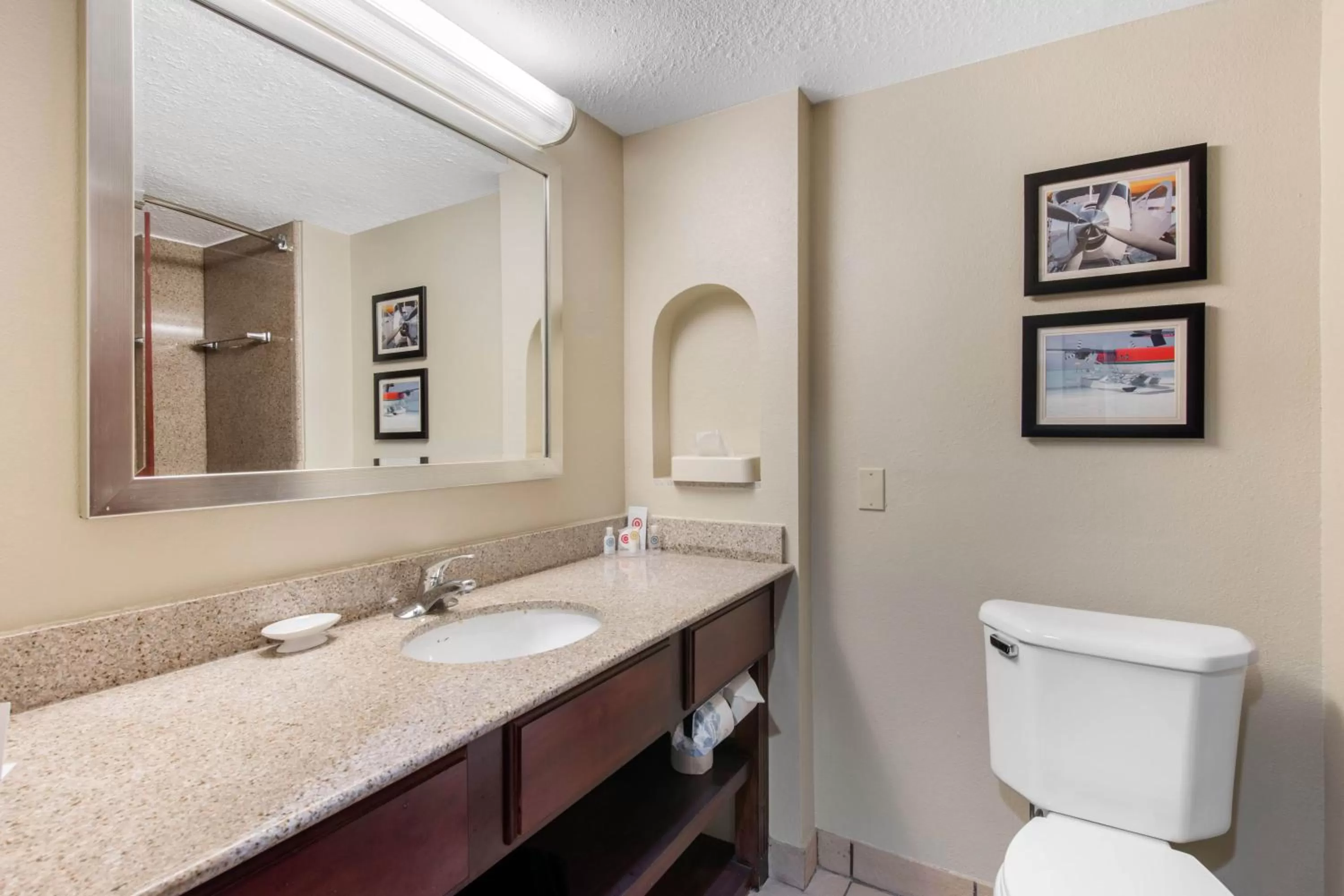 Toilet in Comfort Inn & Suites Tavares North