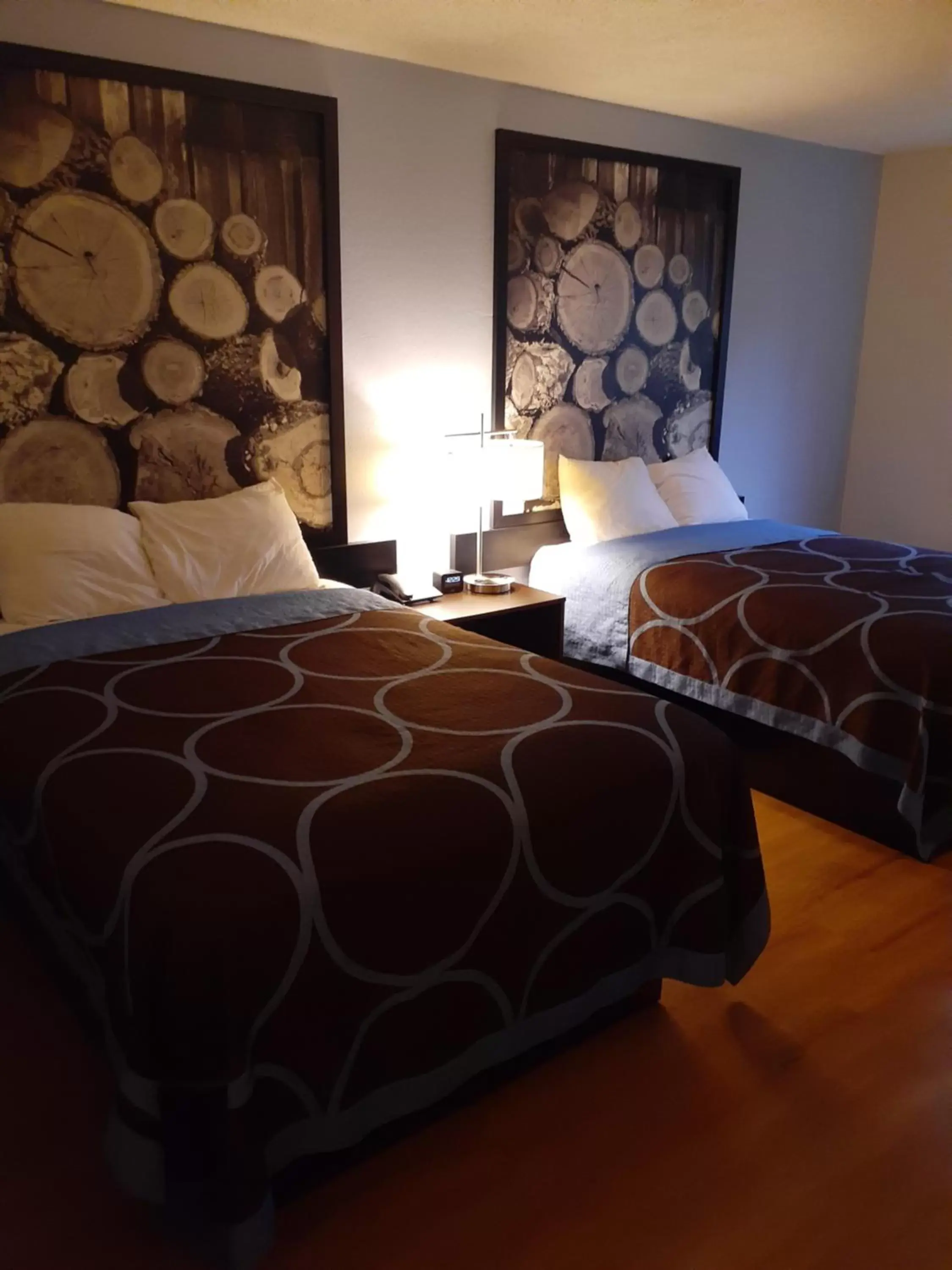 Bedroom, Bed in Super 8 by Wyndham Farmville