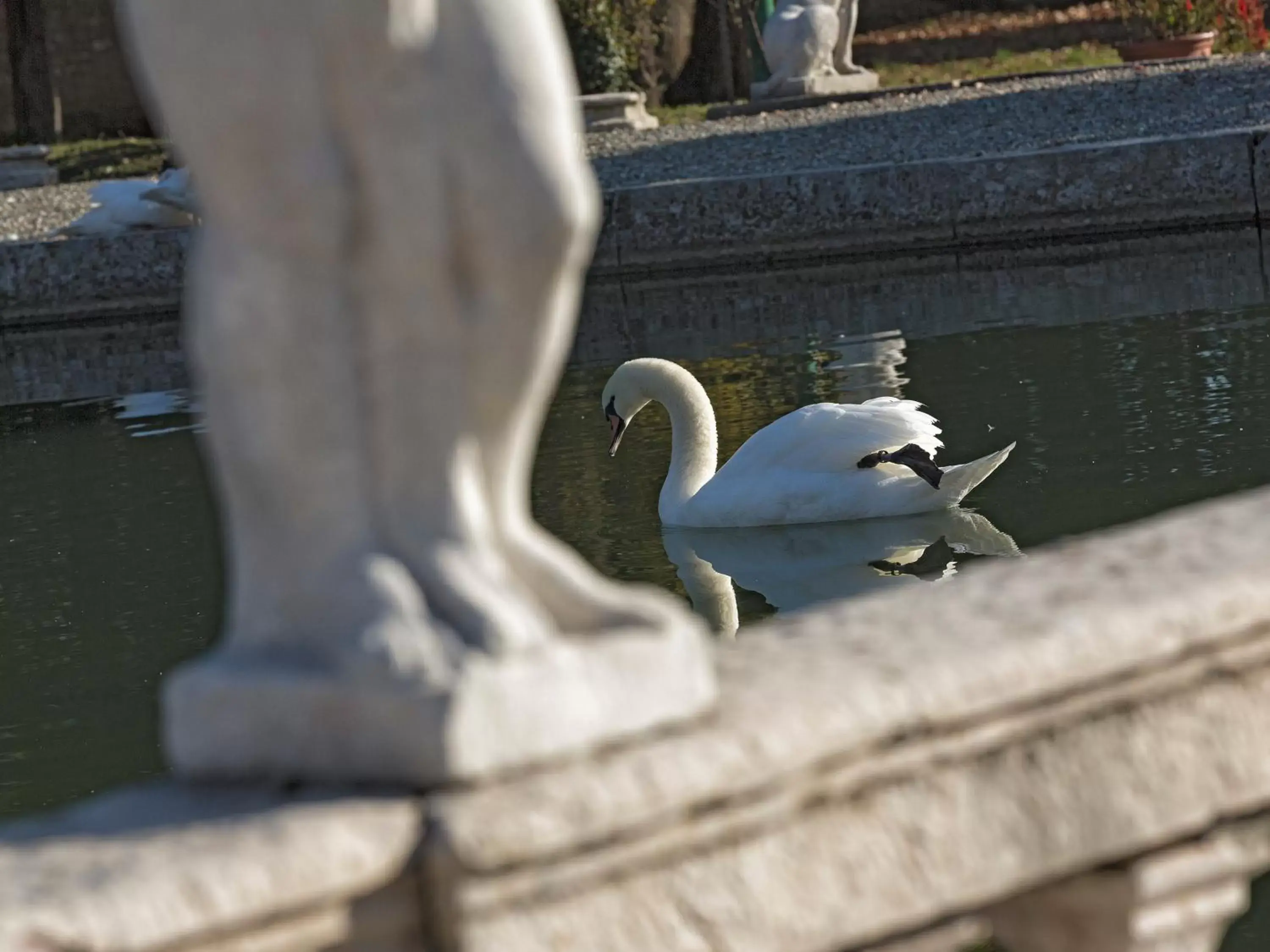 Animals in Villa Stecchini